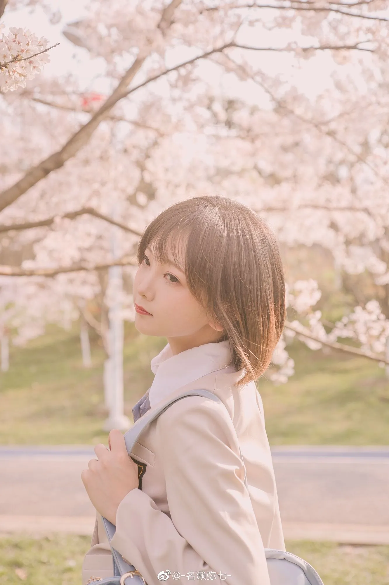 No.003-樱花 [14P]-图妖社