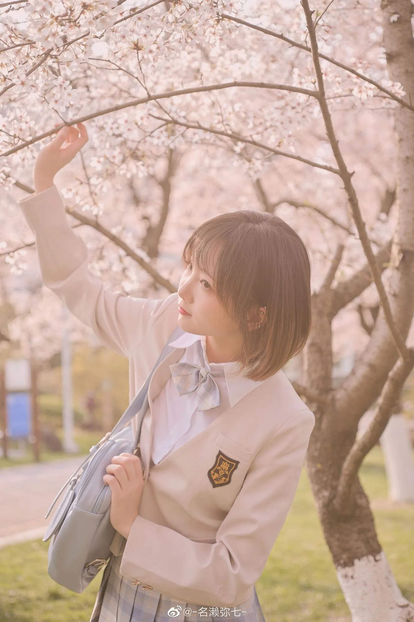 图片[3]-No.003-樱花 [14P]-coswz-cos王者