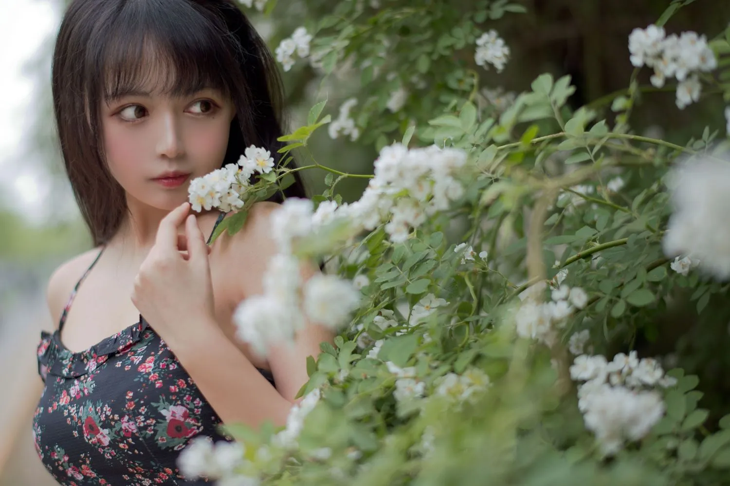 图片[2]-No.022-蔷薇1 [22P]-coswz-cos王者