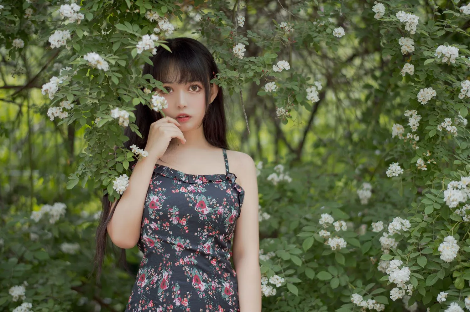 图片[3]-No.022-蔷薇1 [22P]-coswz-cos王者