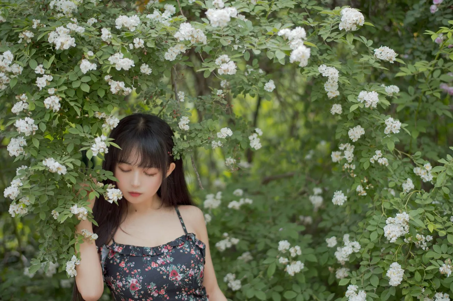 No.022-蔷薇1 [22P]-图妖社
