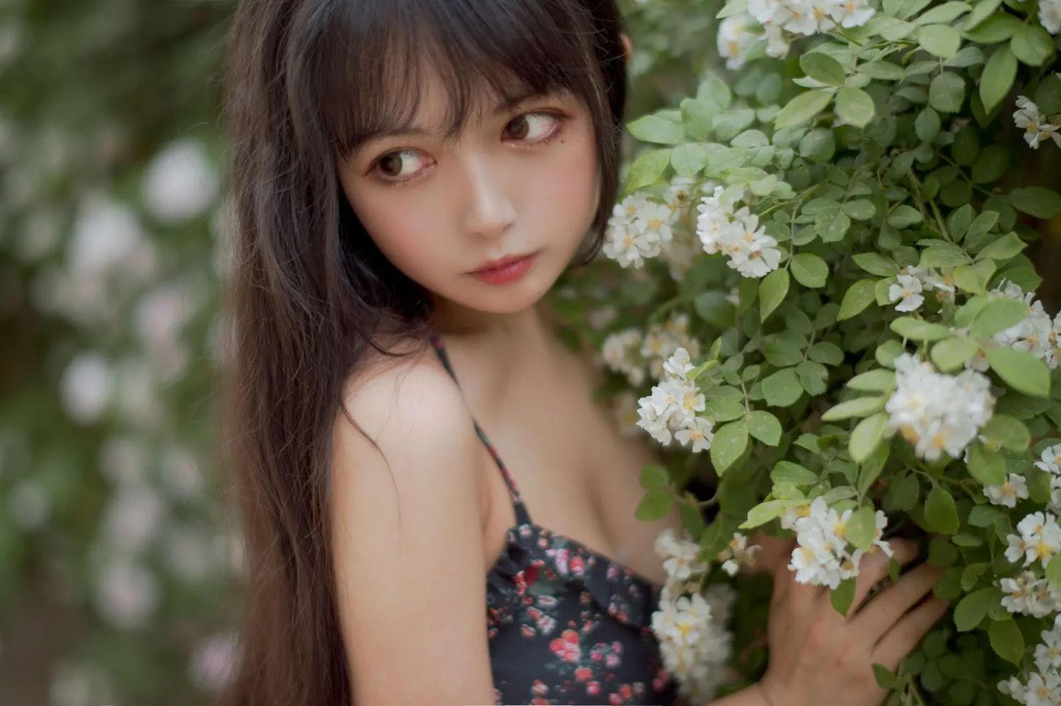 图片[4]-No.022-蔷薇1 [22P]-coswz-cos王者