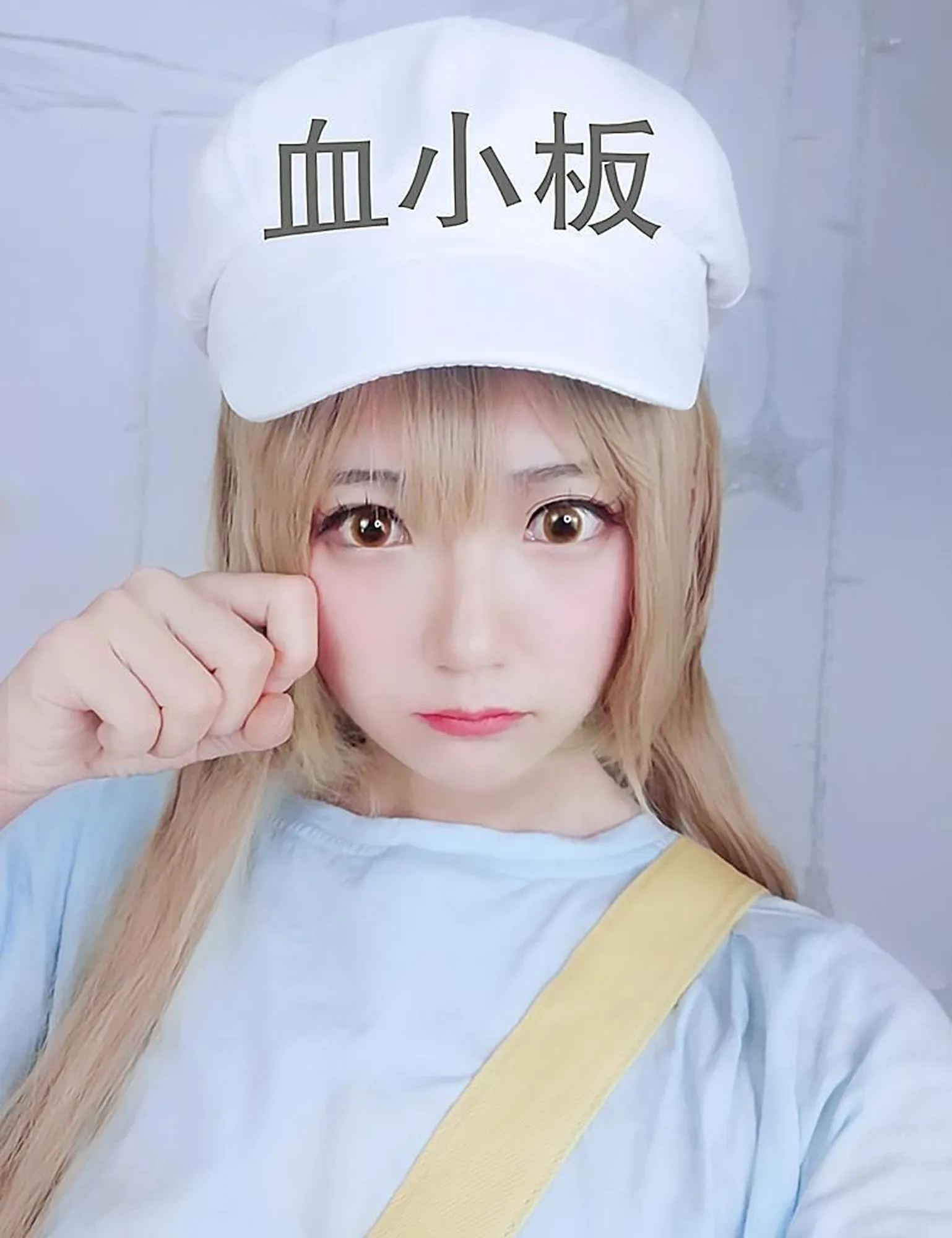 图片[3]-No.022-血小板 [7P]-coswz-cos王者