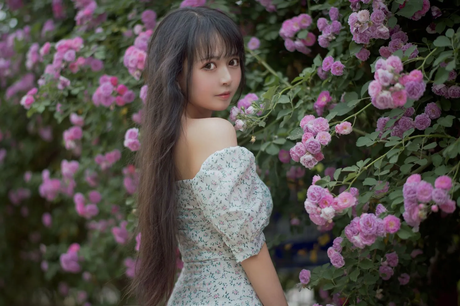 图片[3]-No.023-蔷薇2 [27P]-coswz-cos王者