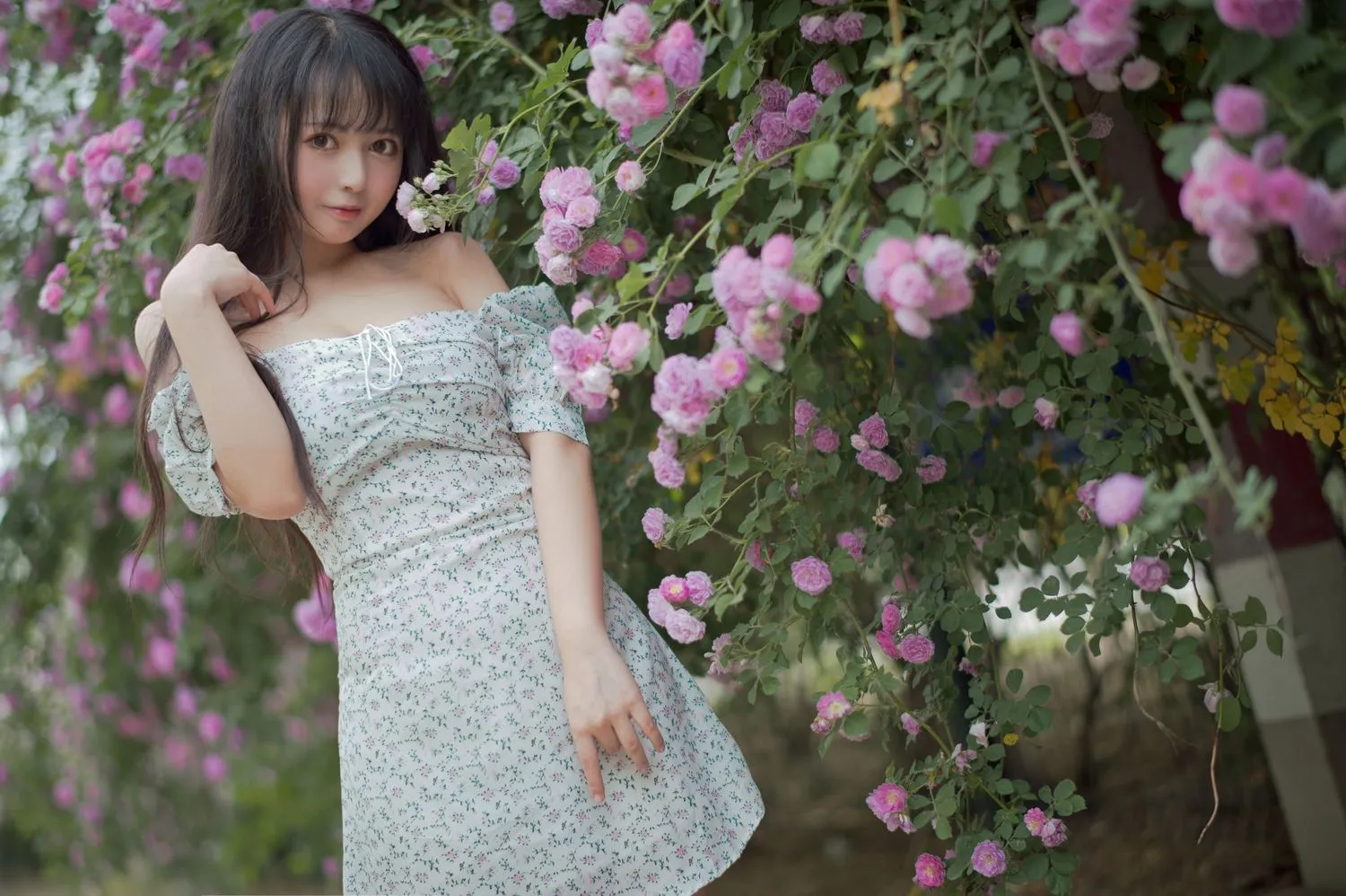 No.023-蔷薇2 [27P] - 图妖社-图妖社
