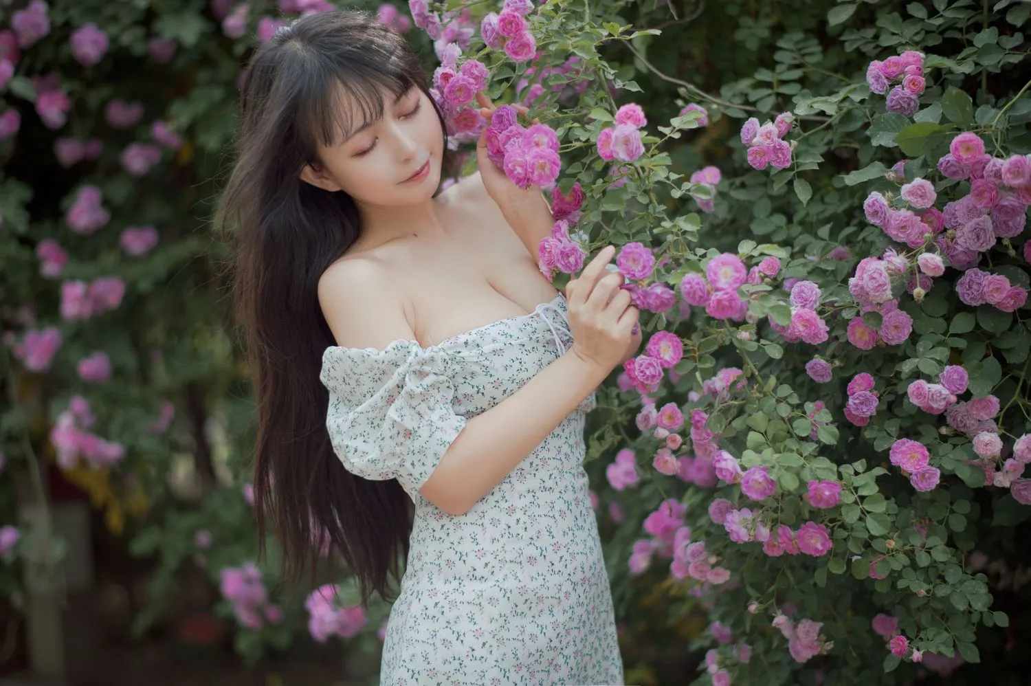 图片[4]-No.023-蔷薇2 [27P]-coswz-cos王者