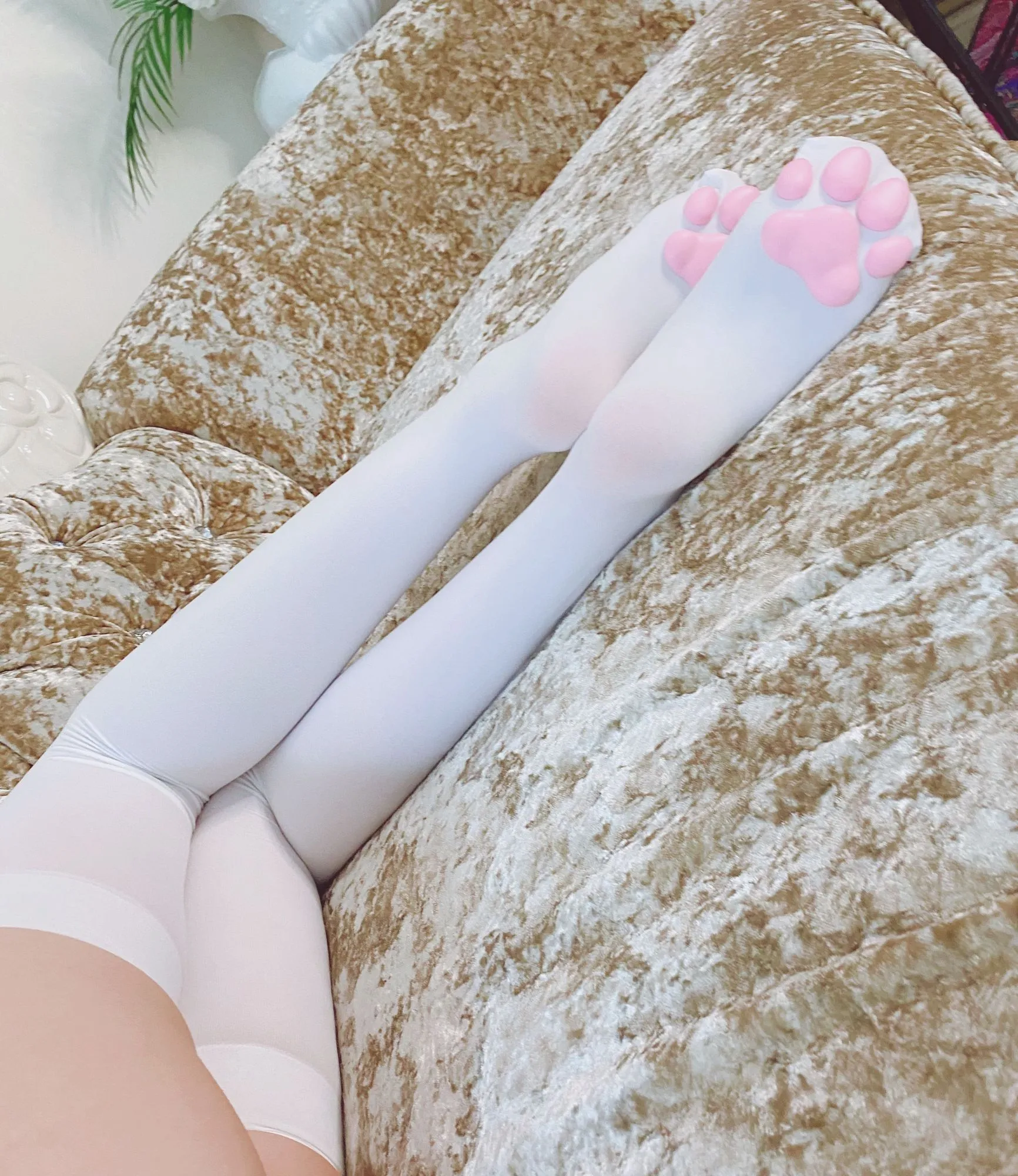 图片[2]-No.020-足系列3 – 猫爪 [8P]-coswz-cos王者