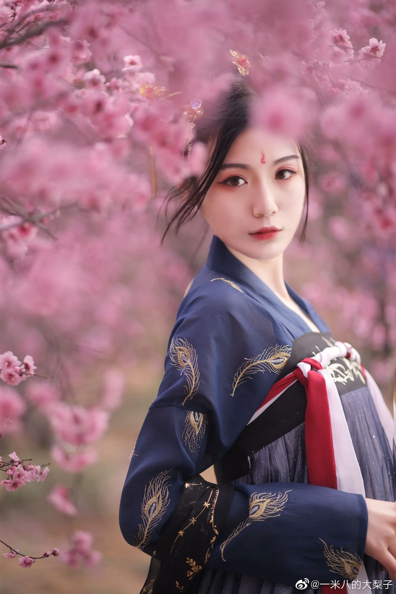 图片[5]-No.001-微博配图 [486P]-coswz-cos王者