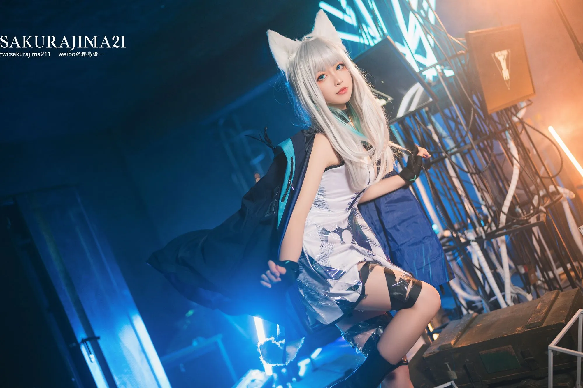 No.008-迷迭香 [13P]-图妖社