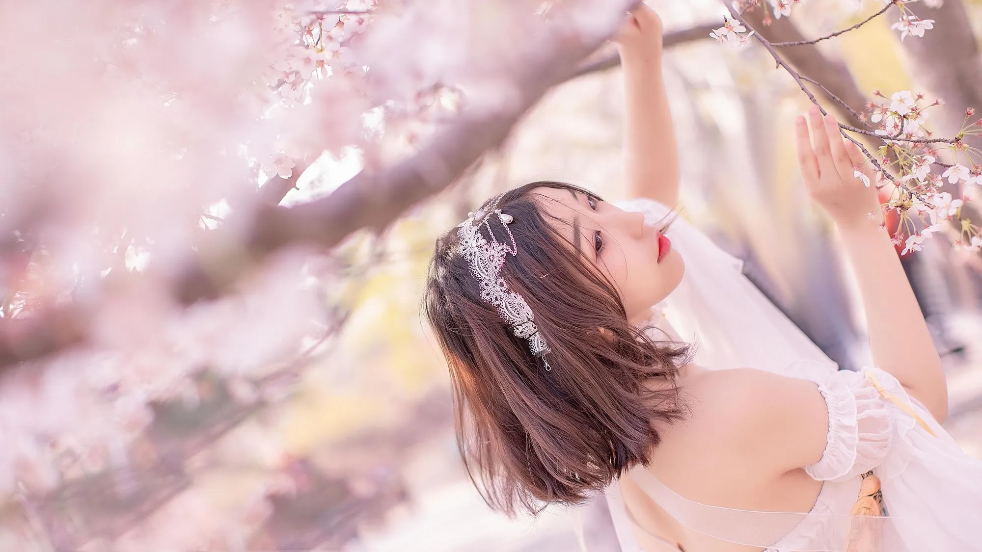 No.013-樱花盛开的季节 [19P] - 图妖社-图妖社