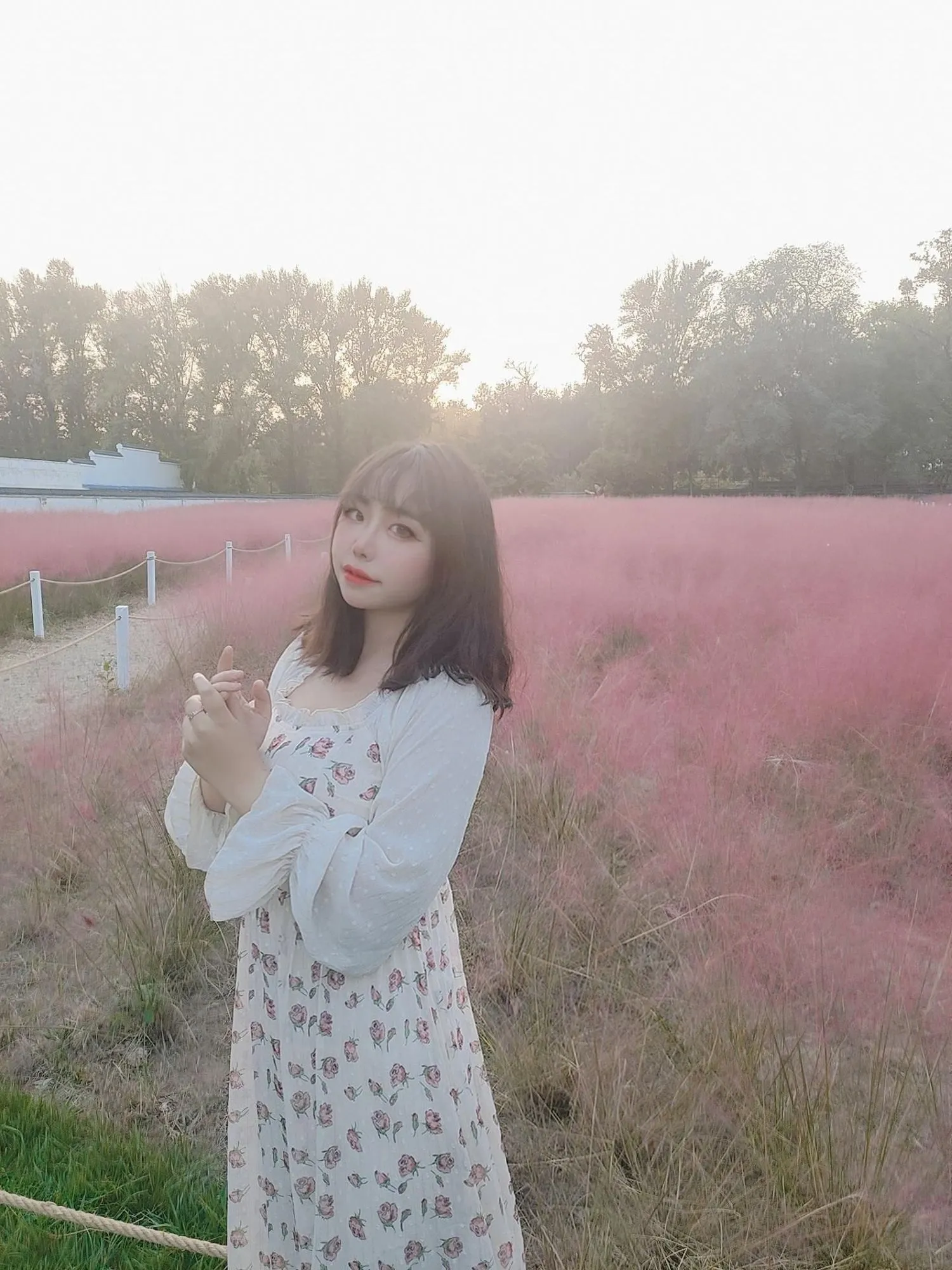 图片[2]-No.024-粉草 [9P]-coswz-cos王者
