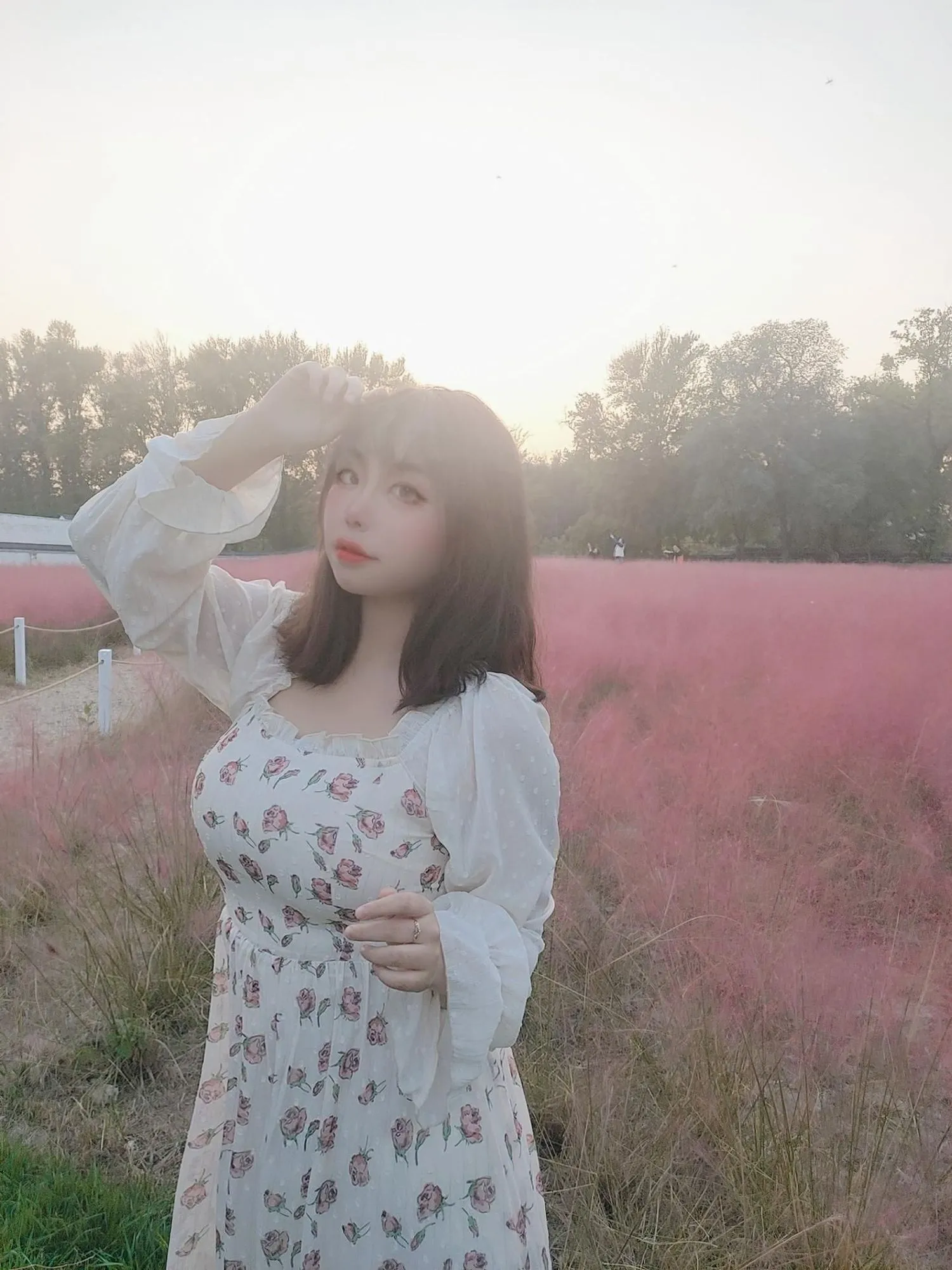 No.024-粉草 [9P]-图妖社