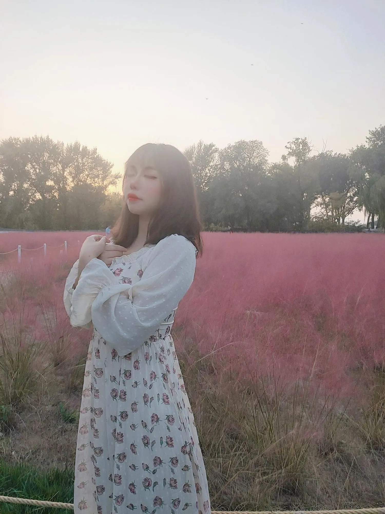 图片[5]-No.024-粉草 [9P]-coswz-cos王者