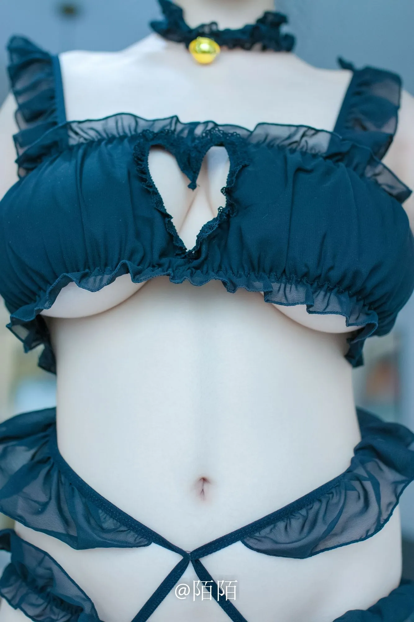 No.025 – 猫咪 [24P]-图妖社