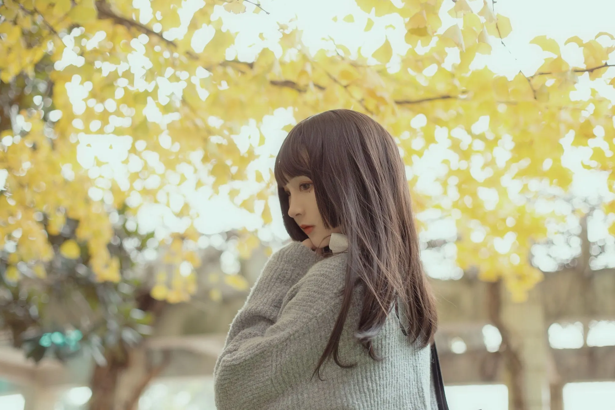 No.036-银杏树下 [21P]-图妖社