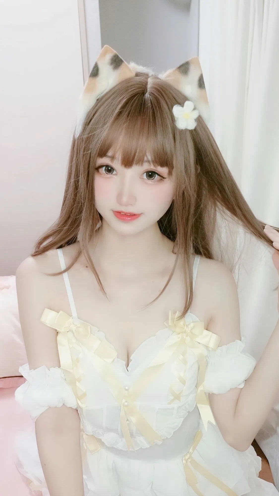 No.042-三花猫 [12P]-图妖社