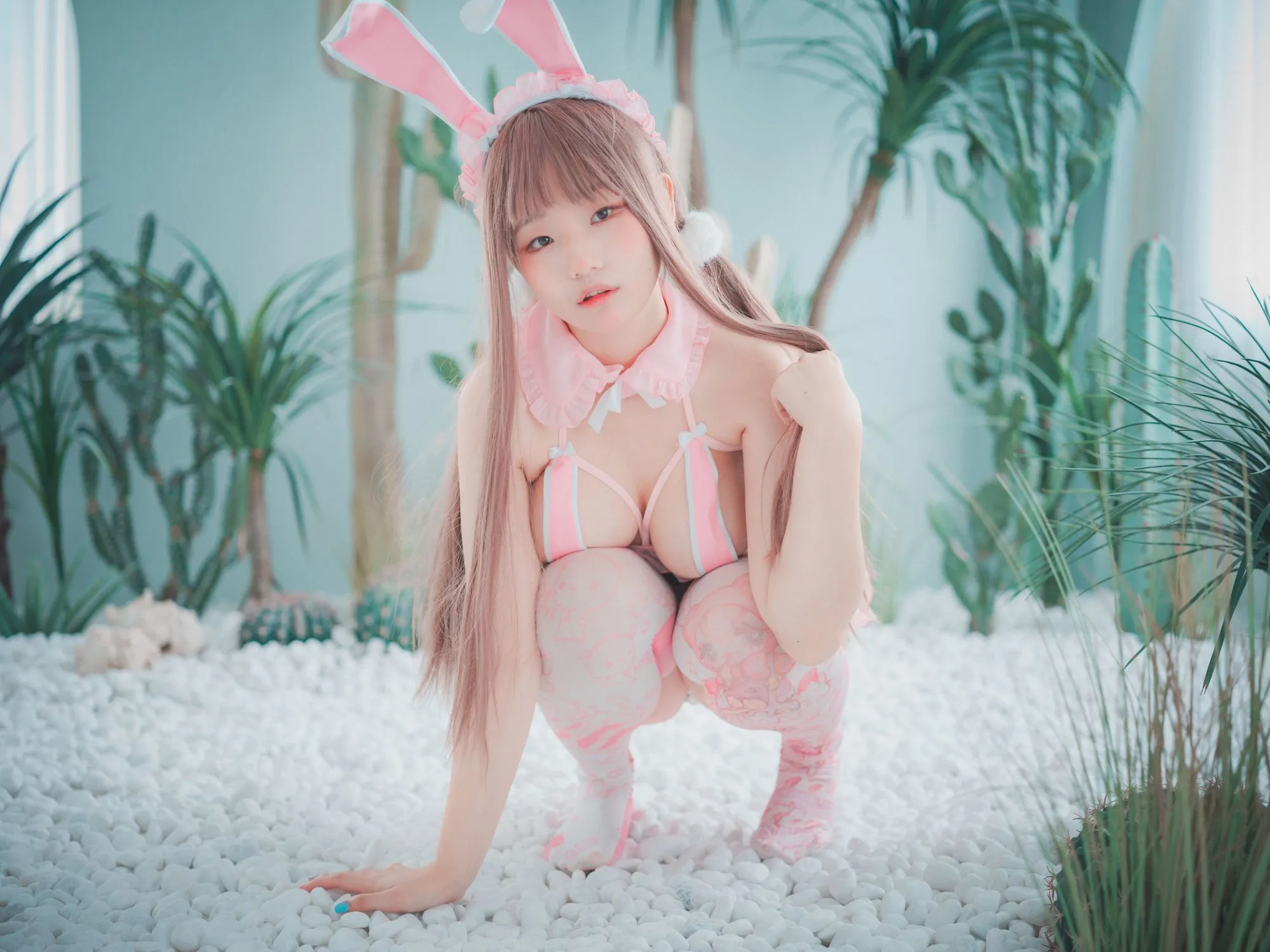No.015-[DJAWA] March Hare [84P]-图妖社