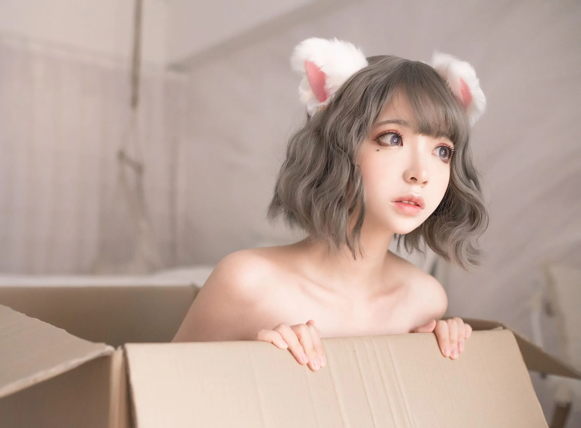 图片[3]-No.029-白猫 [30P]-coswz-cos王者