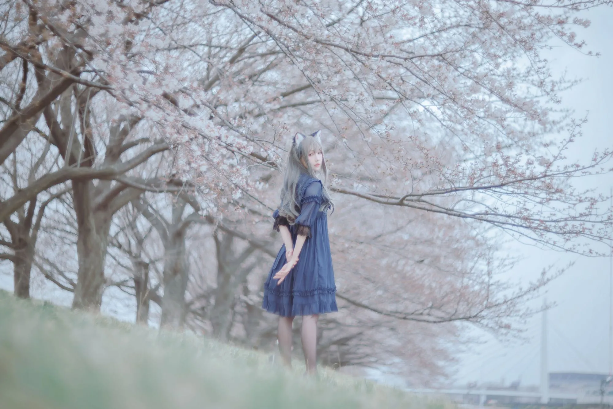 图片[4]-No.043-Sakura桜 2021 – 01.BLUE [22P]-coswz-cos王者
