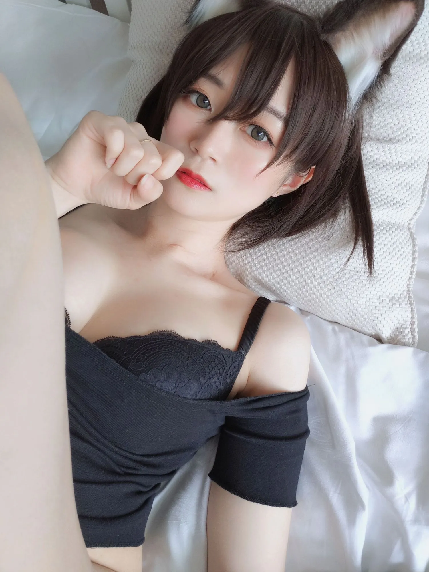 No.004-布偶猫 [46P 8V]-图妖社