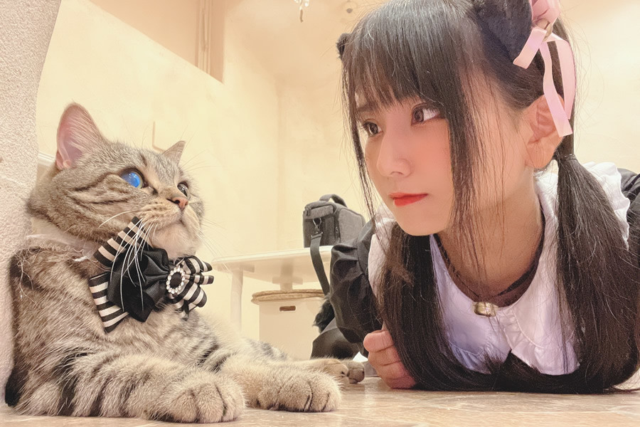 日本Coser柳丸，15套作品展现柔美