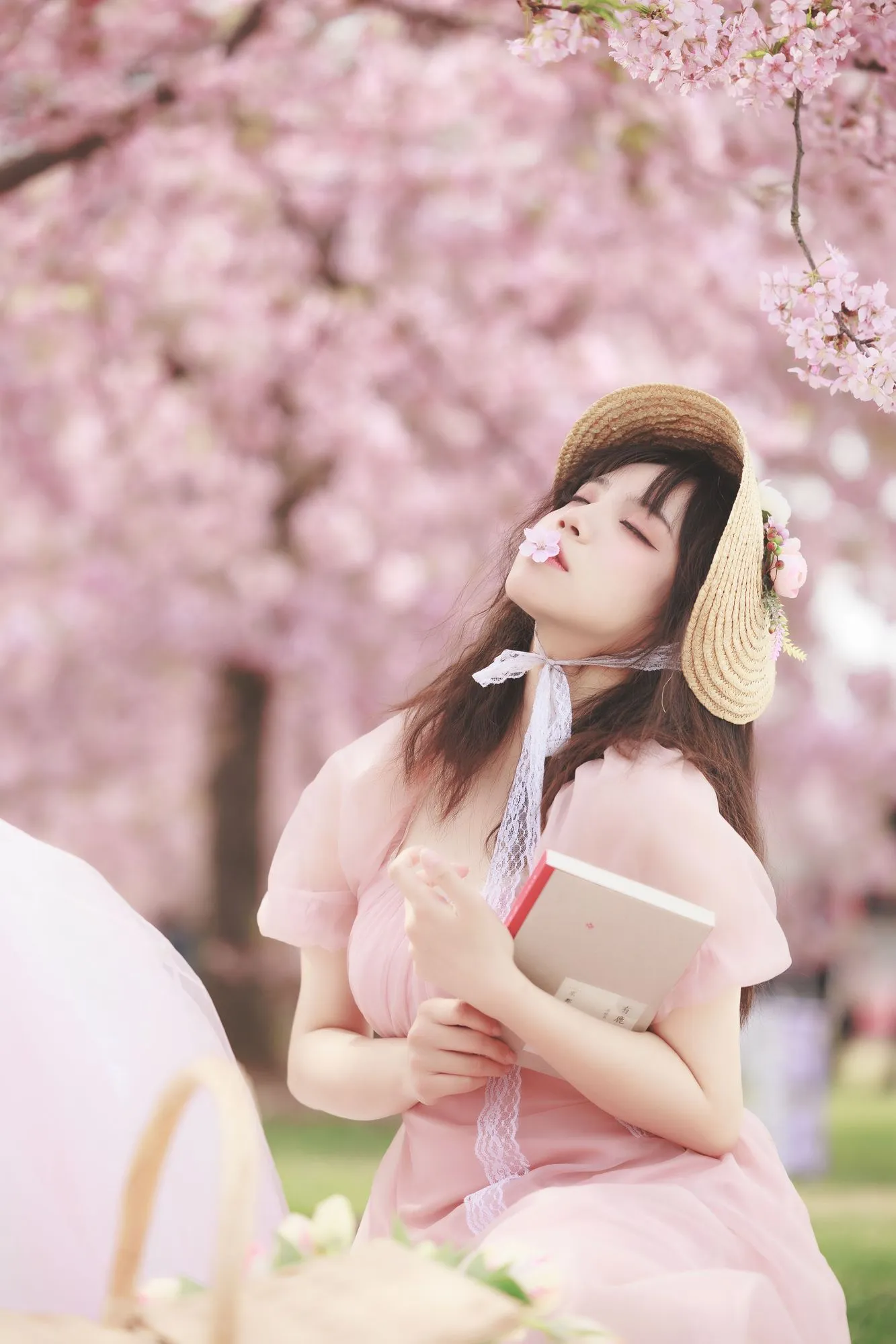 图片[2]-No.014-樱之浪漫 [23P]-coswz-cos王者