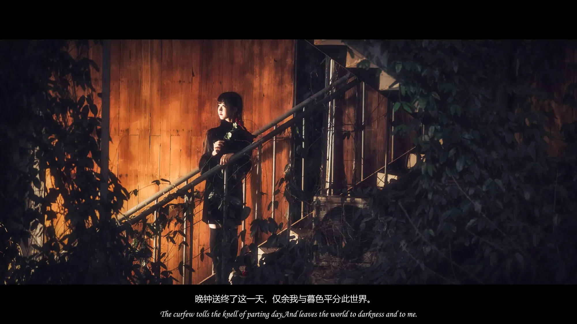 图片[3]-其他3 [13P]-coswz-cos王者