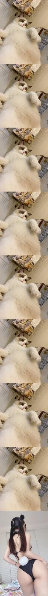 图片[5]-000-微博配图 [46P]-coswz-cos王者
