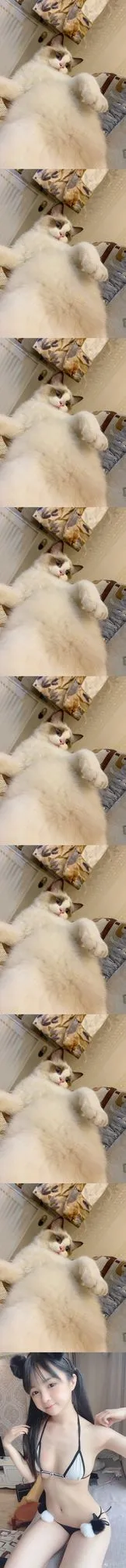 图片[4]-000-微博配图 [46P]-coswz-cos王者