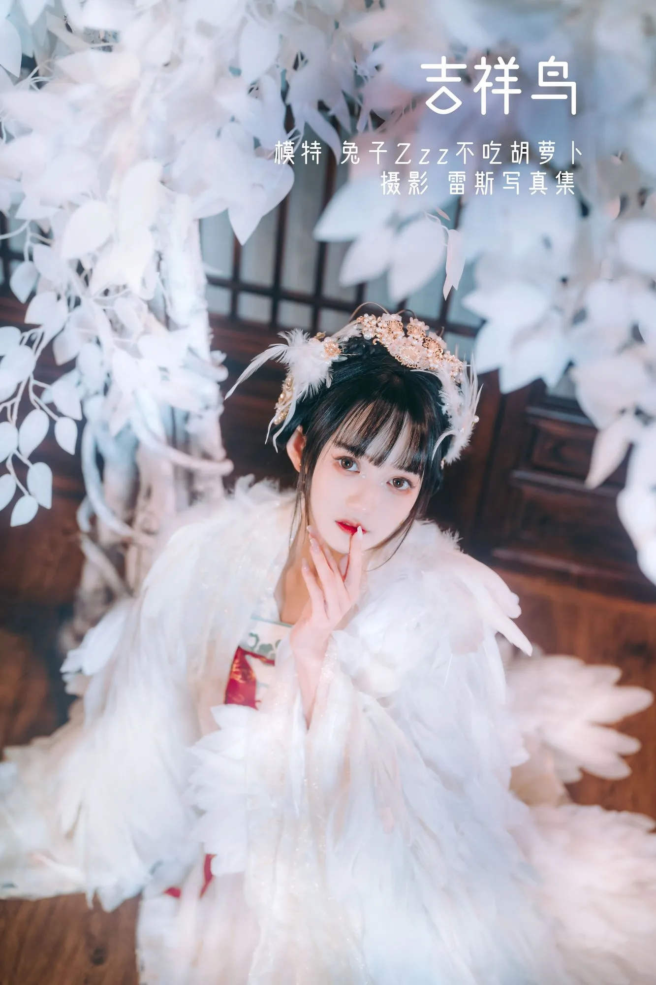 No.005-吉祥鸟 [21P]-图妖社