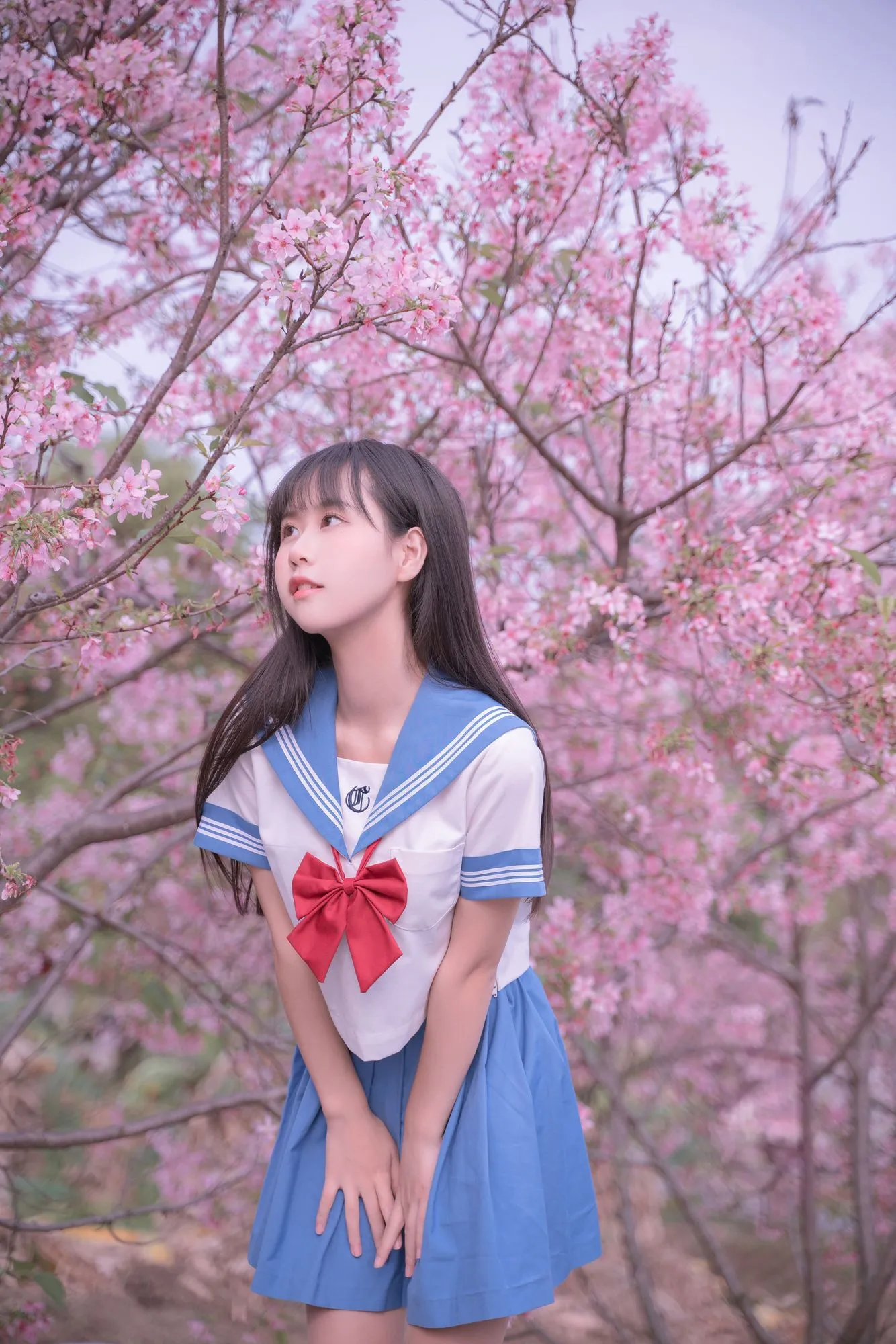 No.024 – 樱花JK [30P]-图妖社