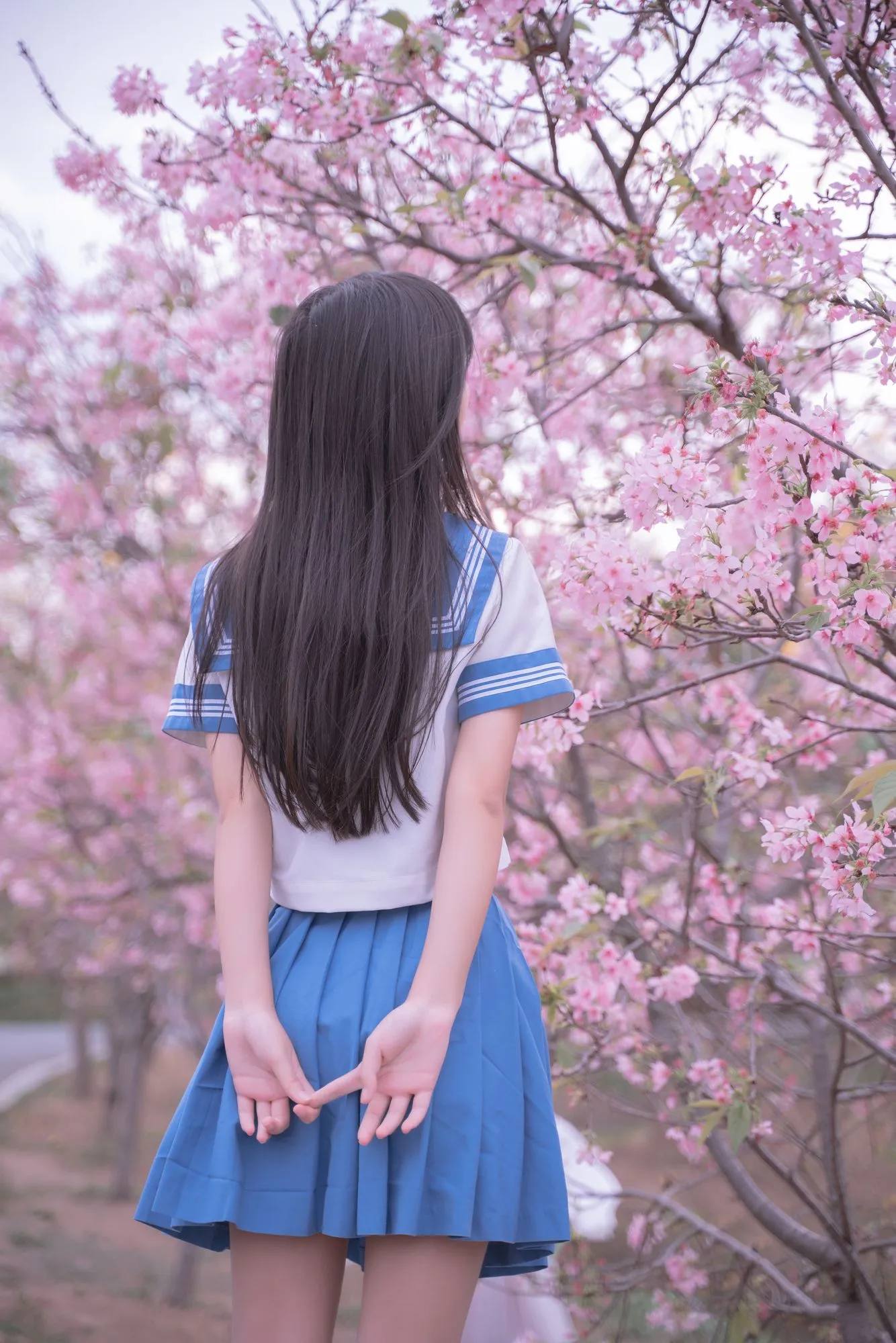 图片[5]-No.024 – 樱花JK [30P]-coswz-cos王者