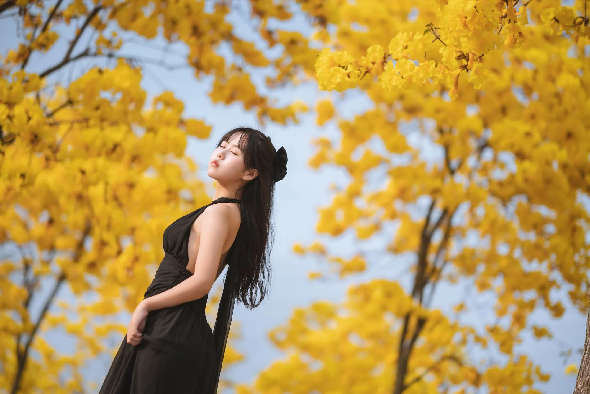 图片[2]-No.025 – 秋有银杏 春有黄风铃 [23P]-coswz-cos王者