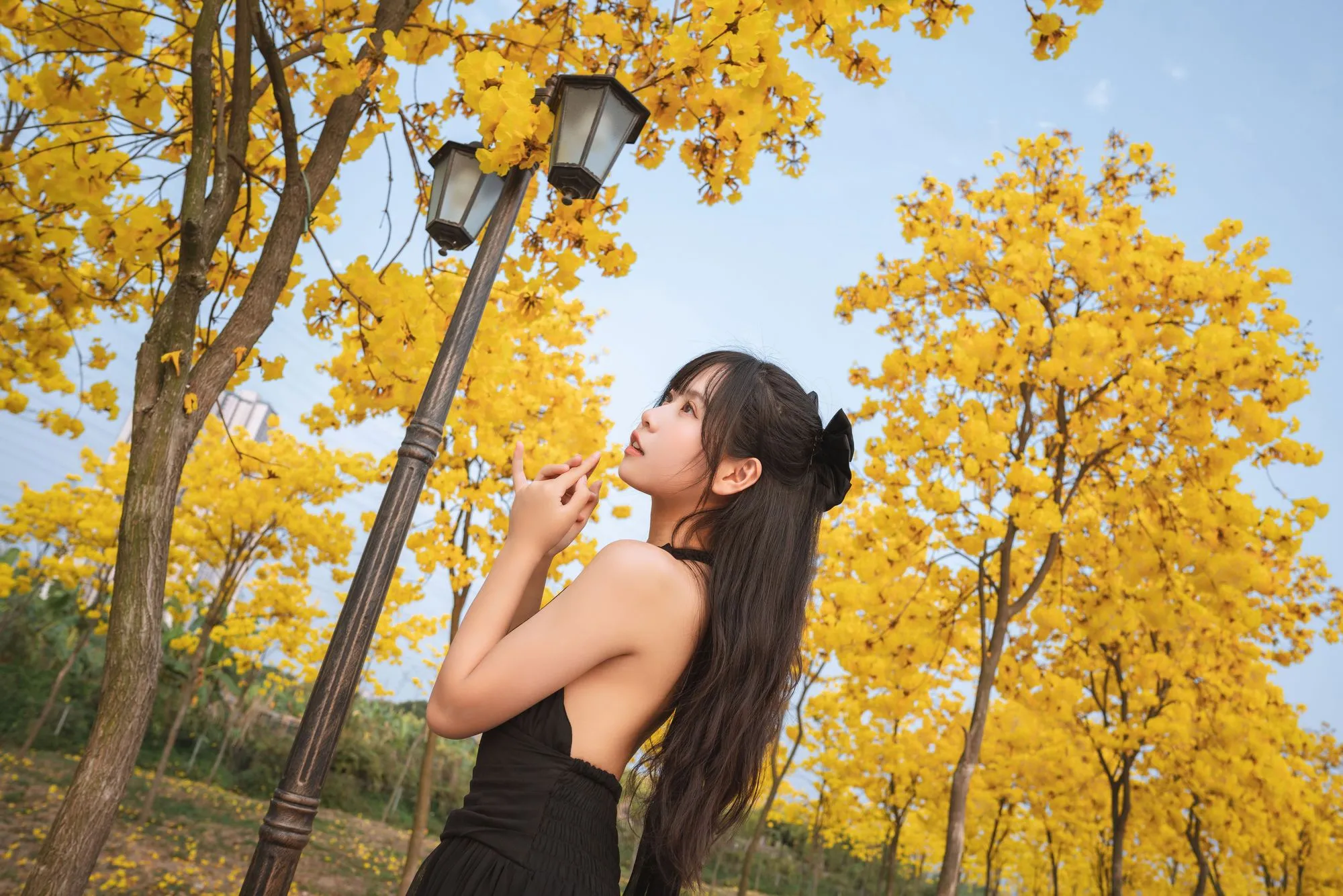 图片[5]-No.025 – 秋有银杏 春有黄风铃 [23P]-coswz-cos王者