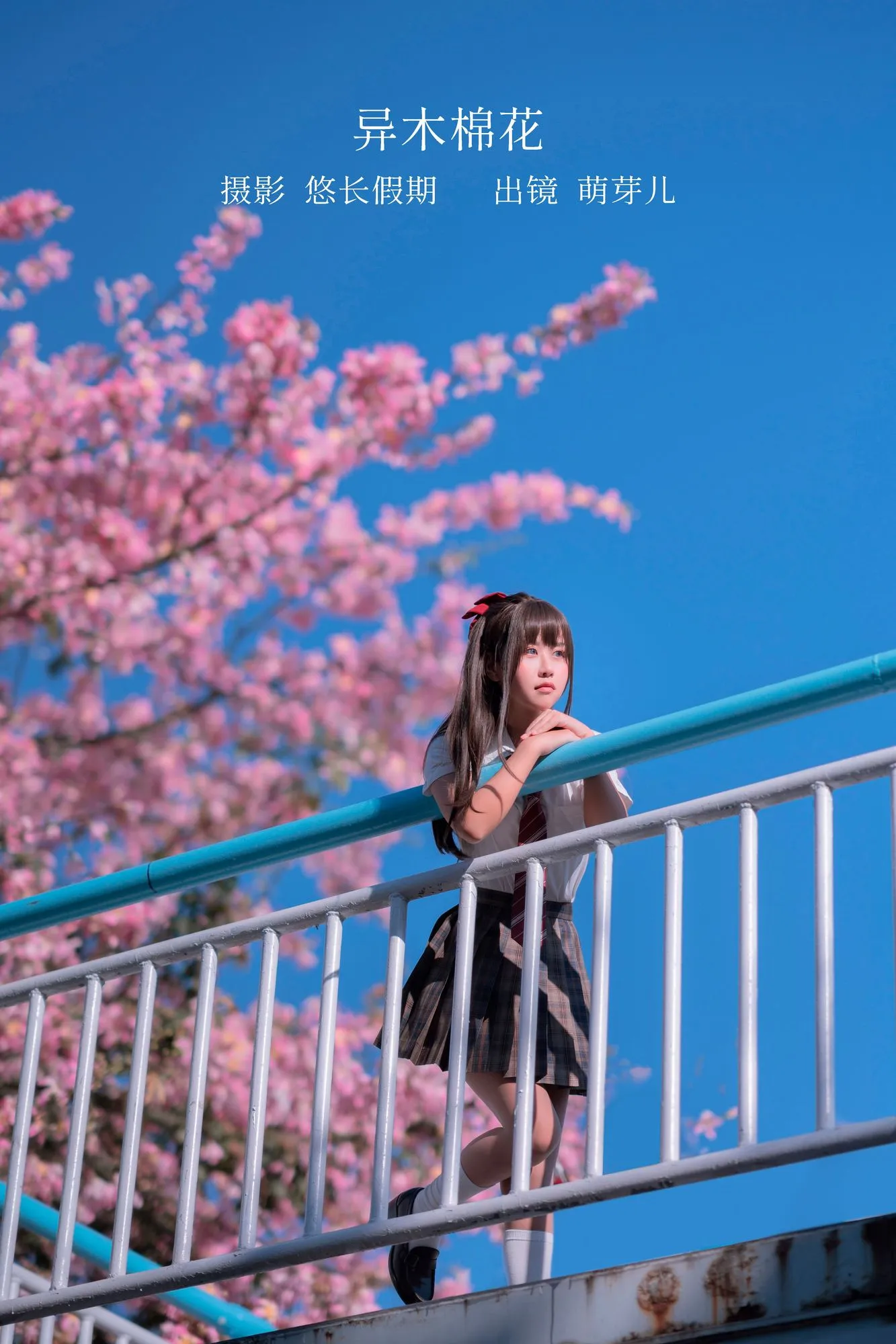 No.026 – 异木棉花 [27P]-图妖社
