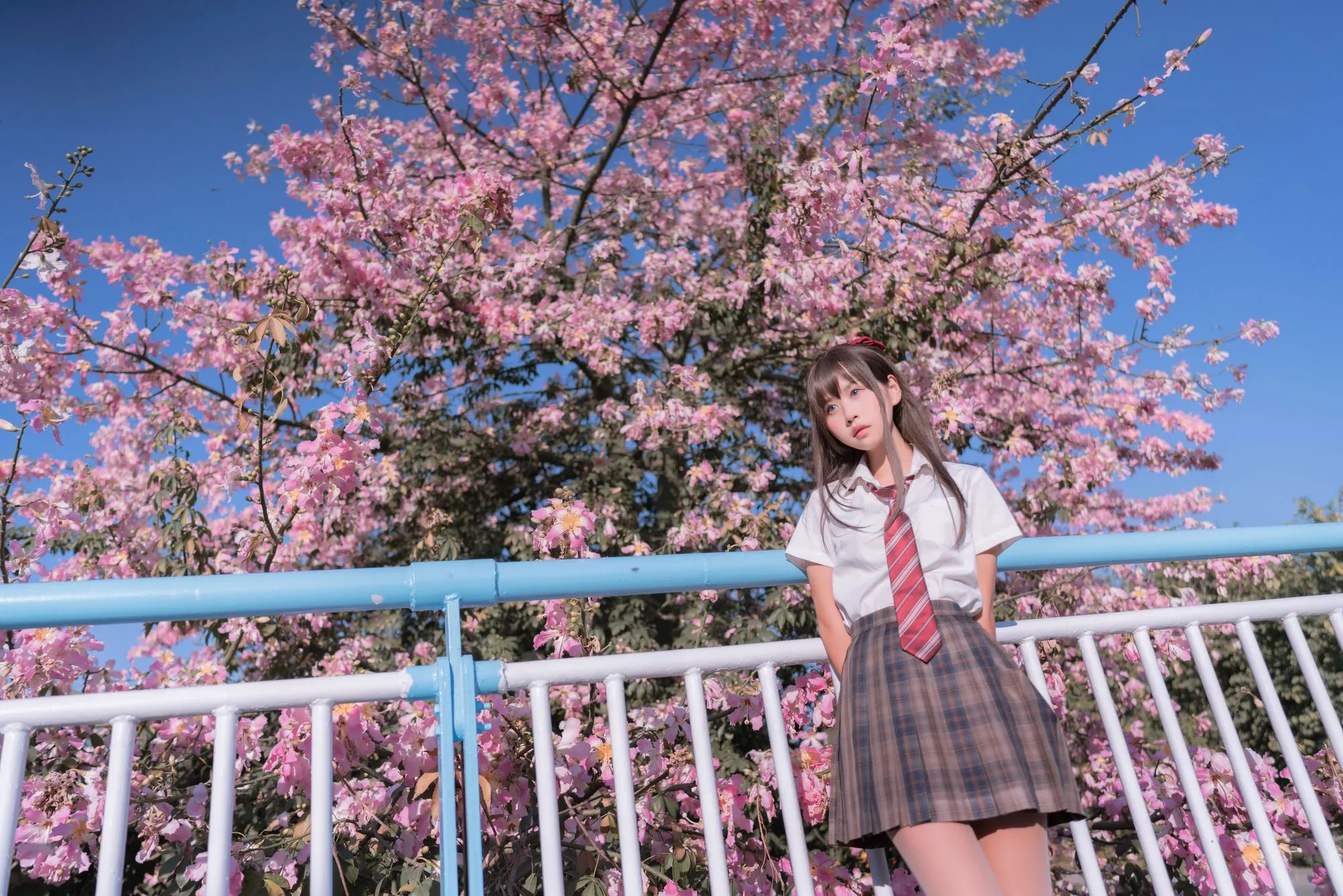 图片[3]-No.026 – 异木棉花 [27P]-coswz-cos王者