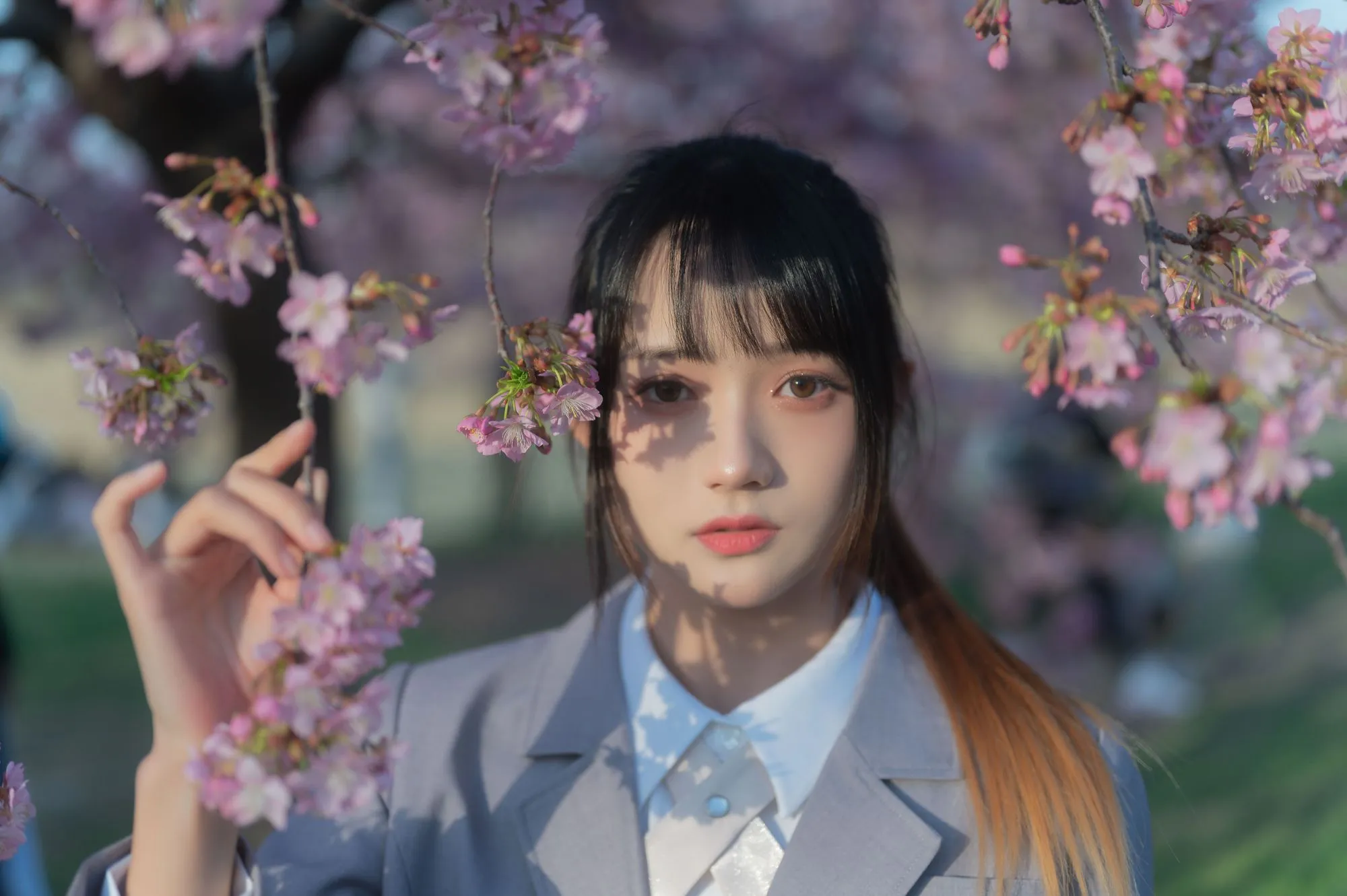 No.033-櫻之聲 [26P]-图妖社