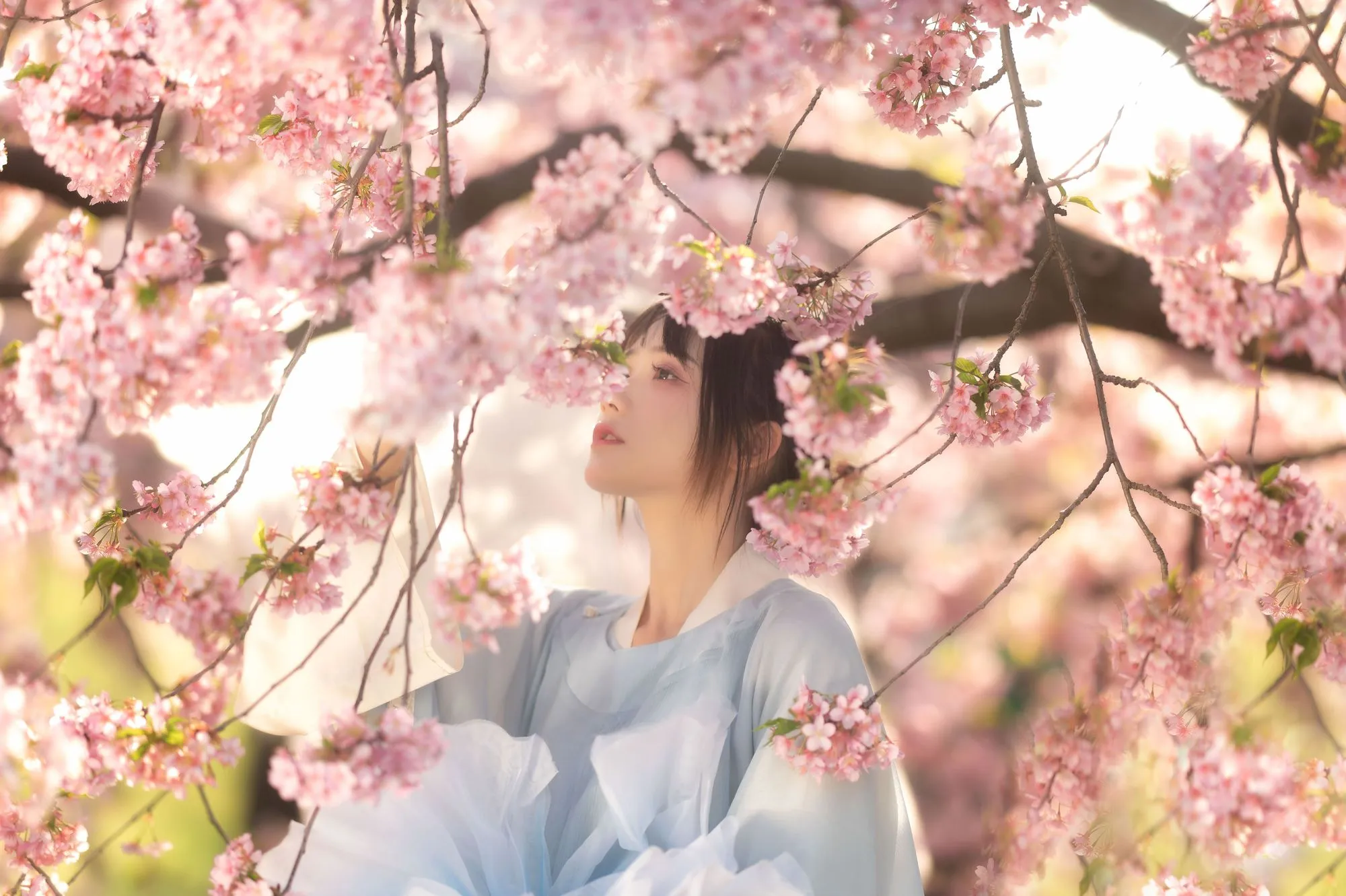 图片[3]-No.035-花满衣 [29P]-coswz-cos王者