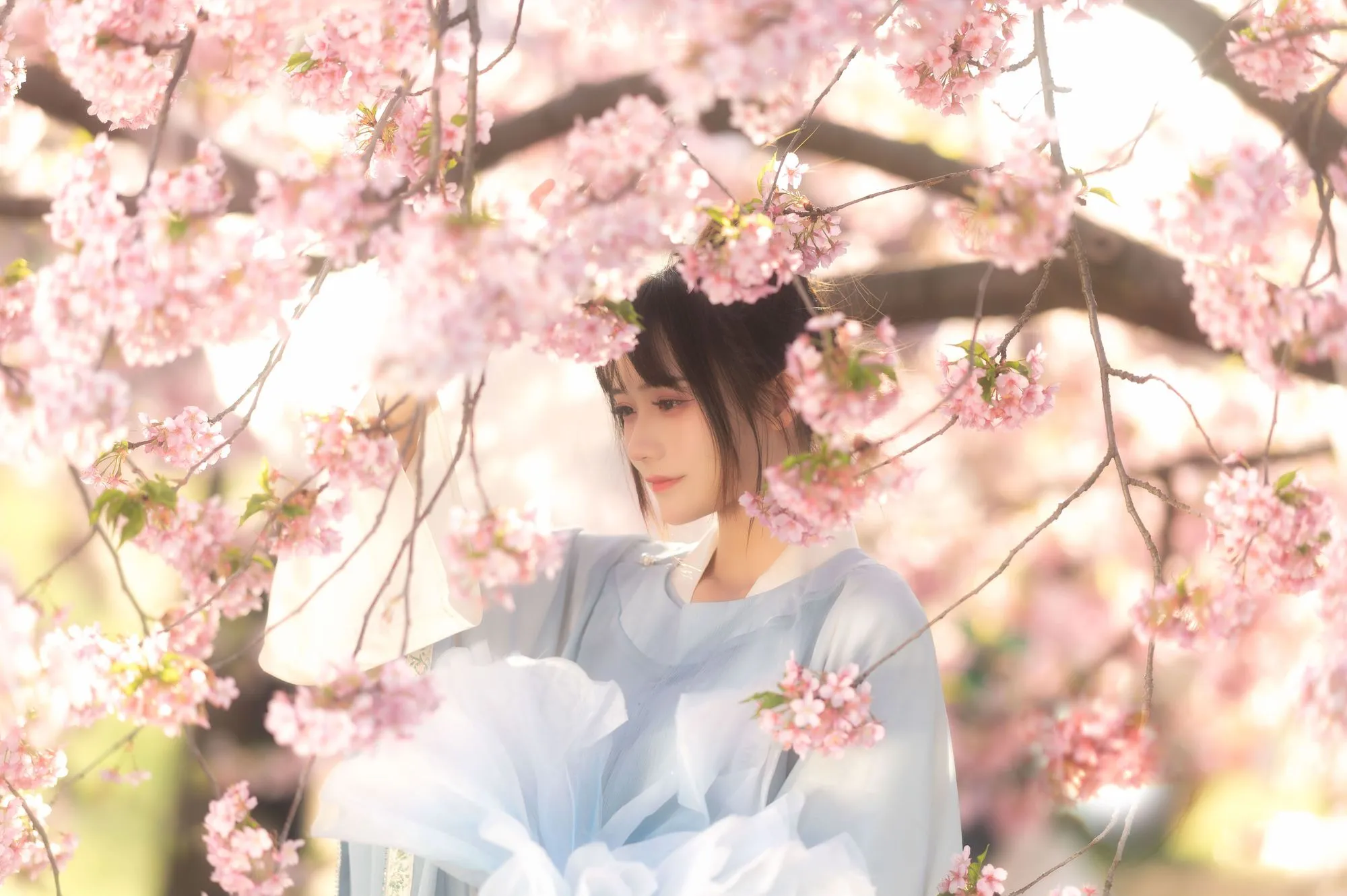图片[4]-No.035-花满衣 [29P]-coswz-cos王者