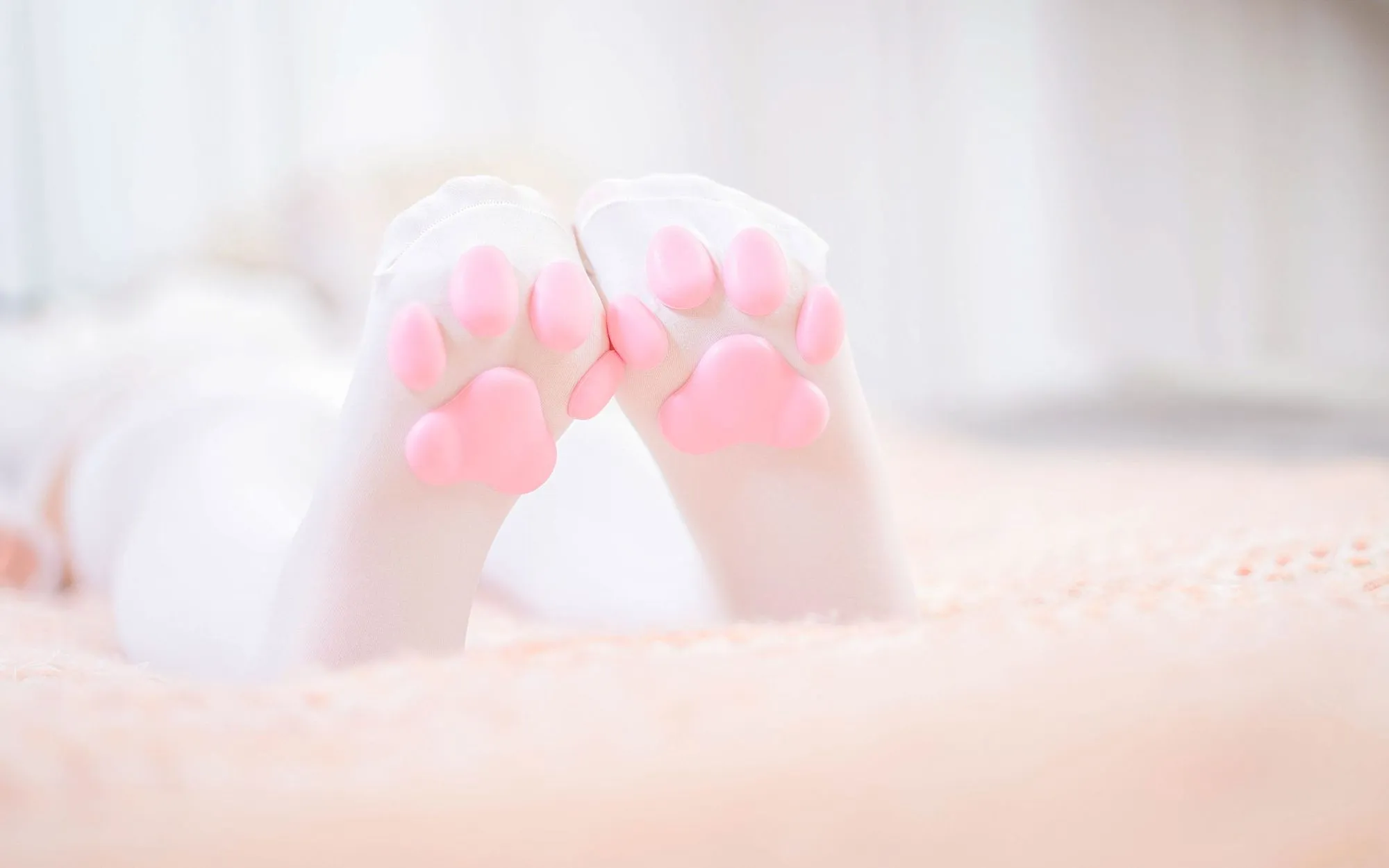 图片[2]-No.059-《おかえり》猫脚女仆 [150P 2V]-coswz-cos王者
