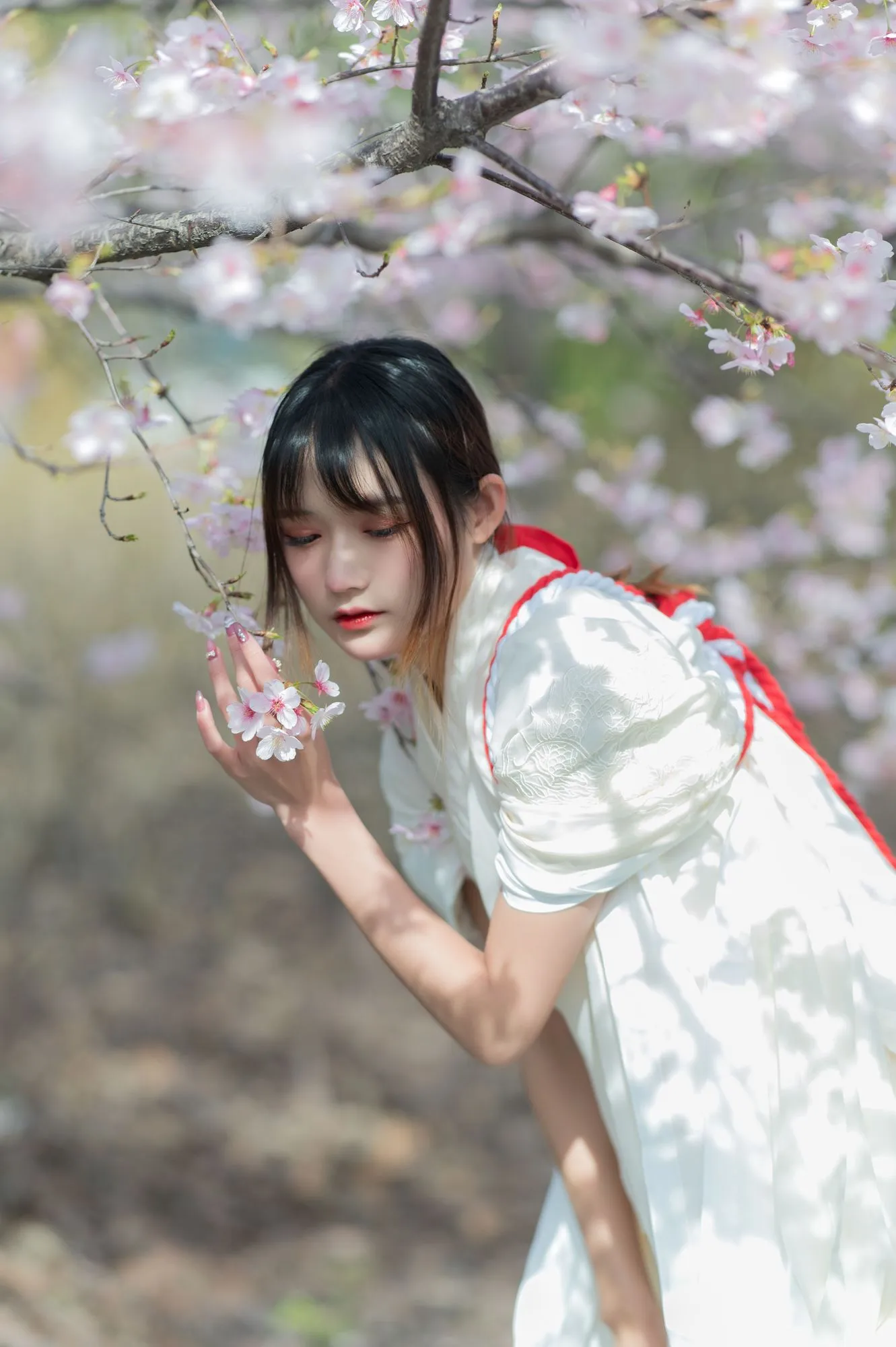 No.067-樱语 [27P]-图妖社