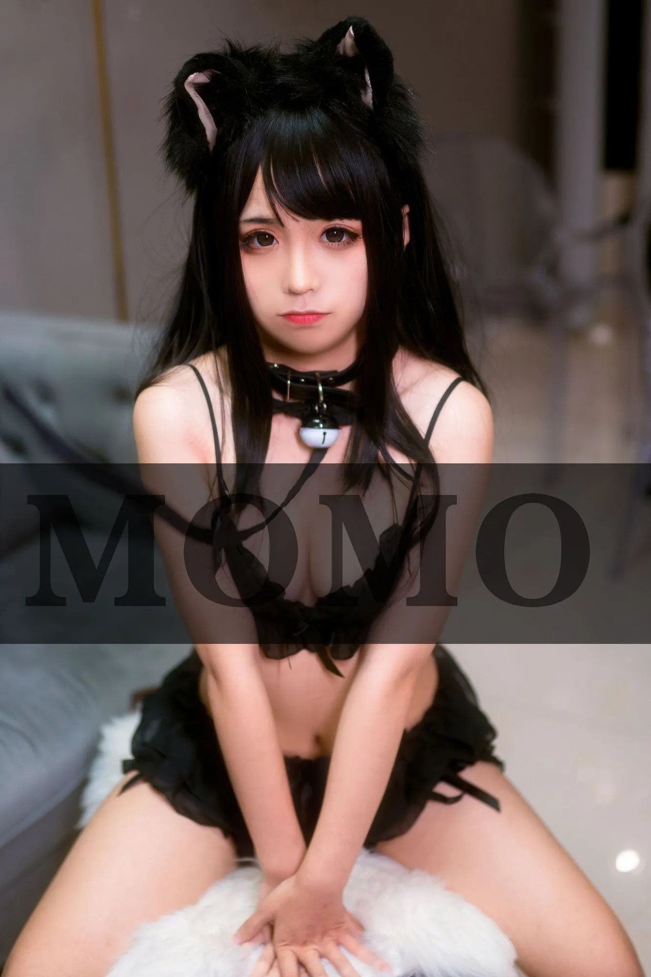 No.012-黑猫 [50P]-图妖社