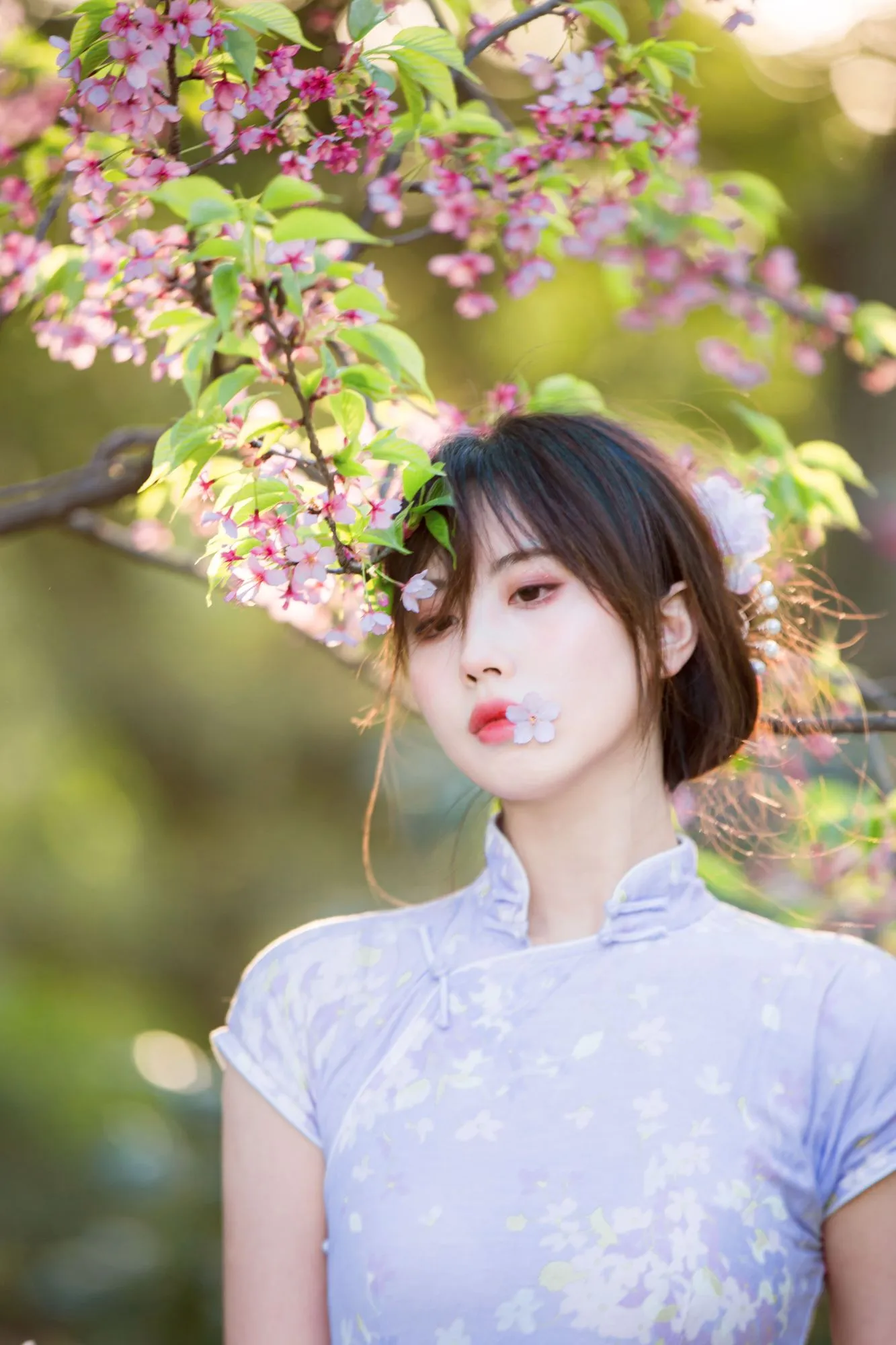 No.023-旗袍 [38P]-图妖社