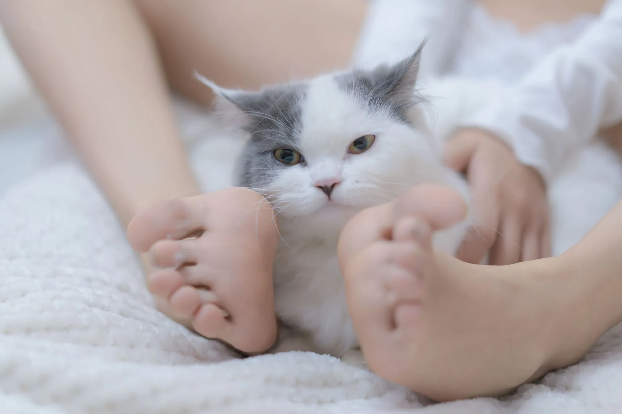 图片[4]-No.109-我和猫 [90P]-coswz-cos王者