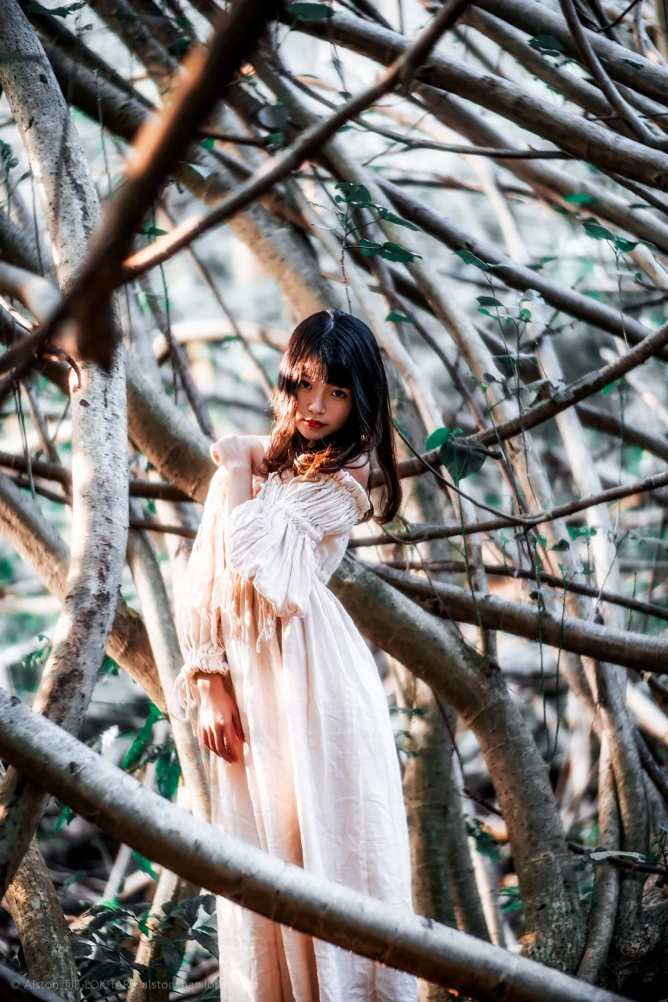 图片[6]-No.113-Jane Eyre [10P]-coswz-cos王者