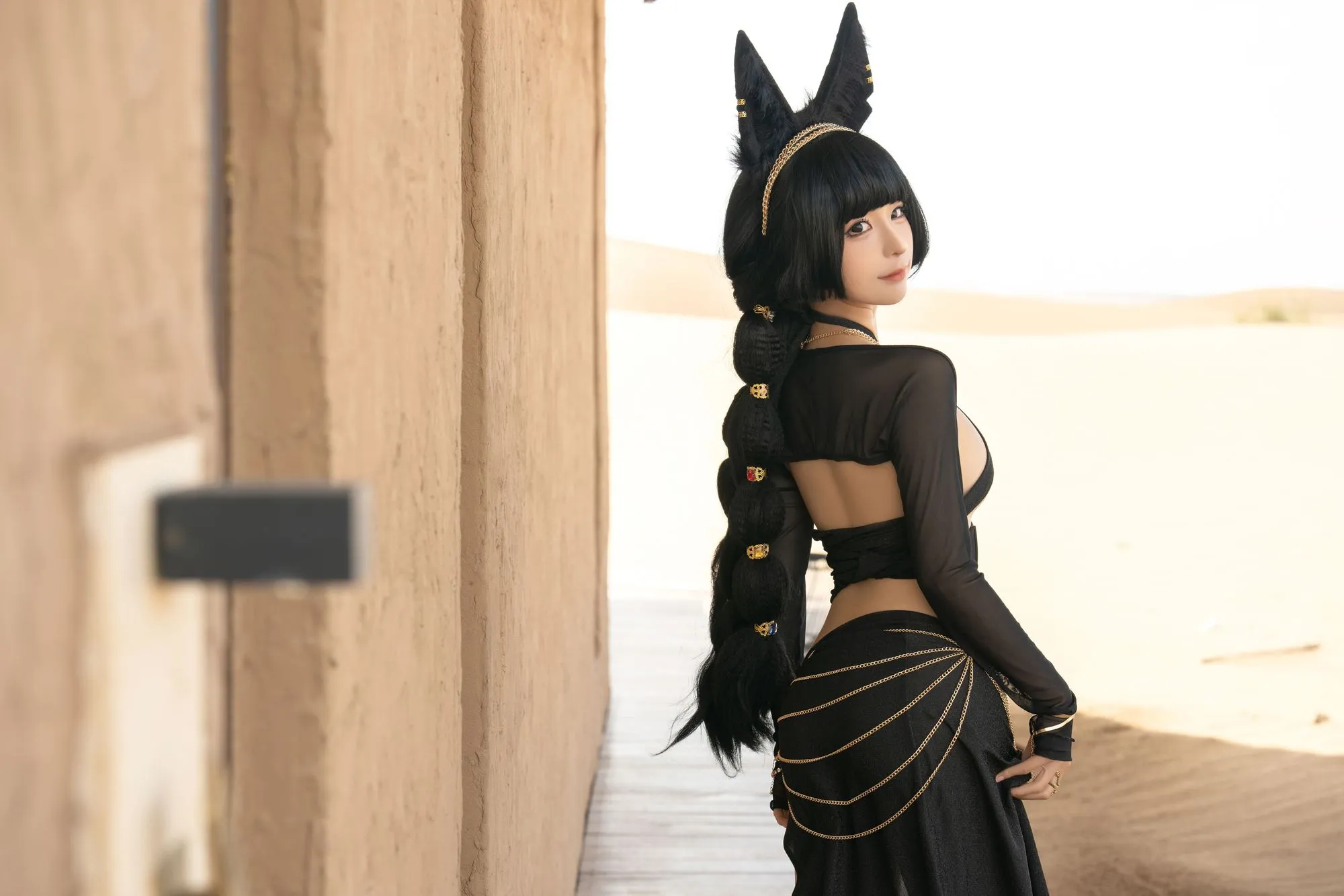 图片[2]-No.236 – 沙漠狐 [21P]-coswz-cos王者