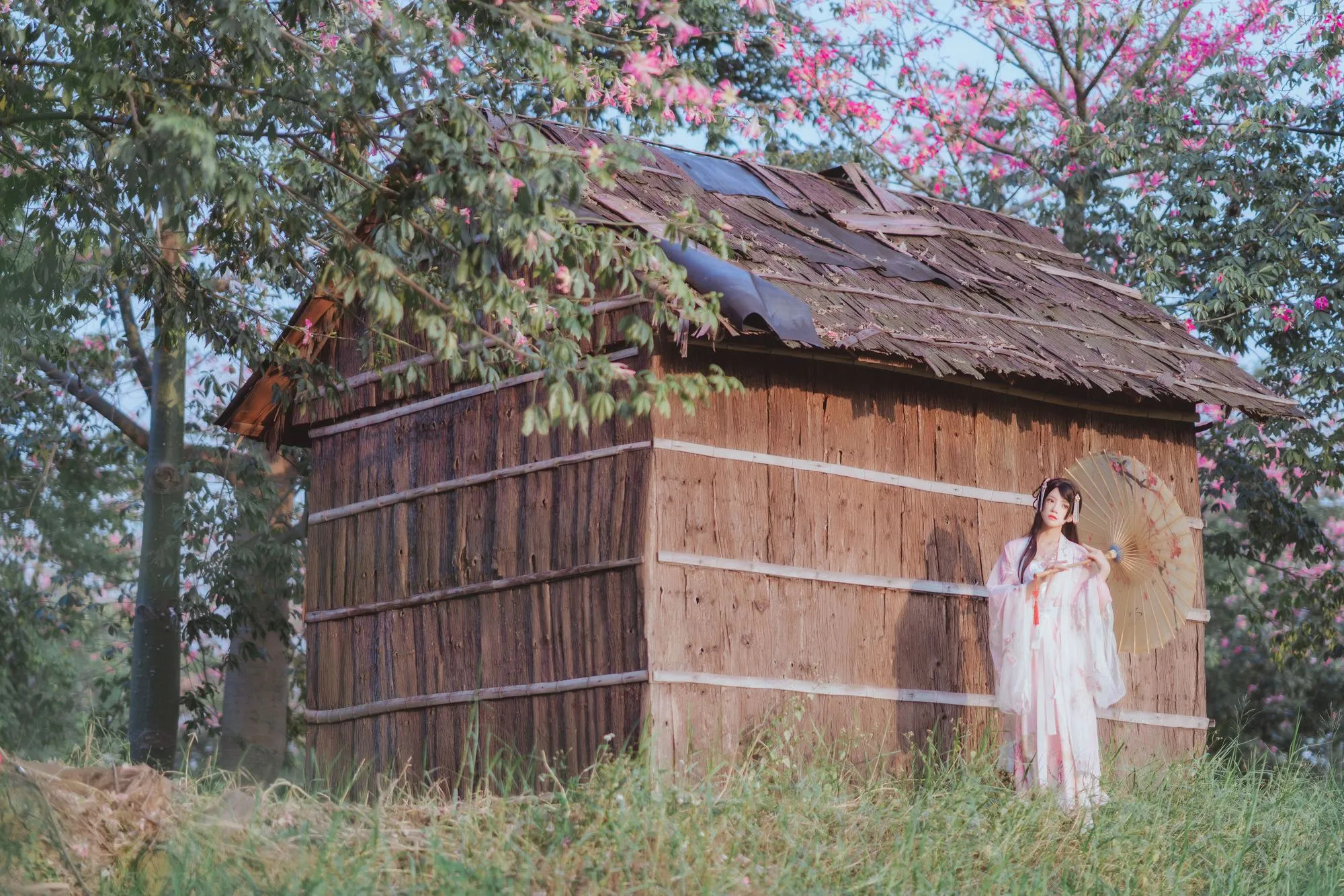 图片[5]-No.145-温柔×4 – 汉服桃花 [15P]-coswz-cos王者