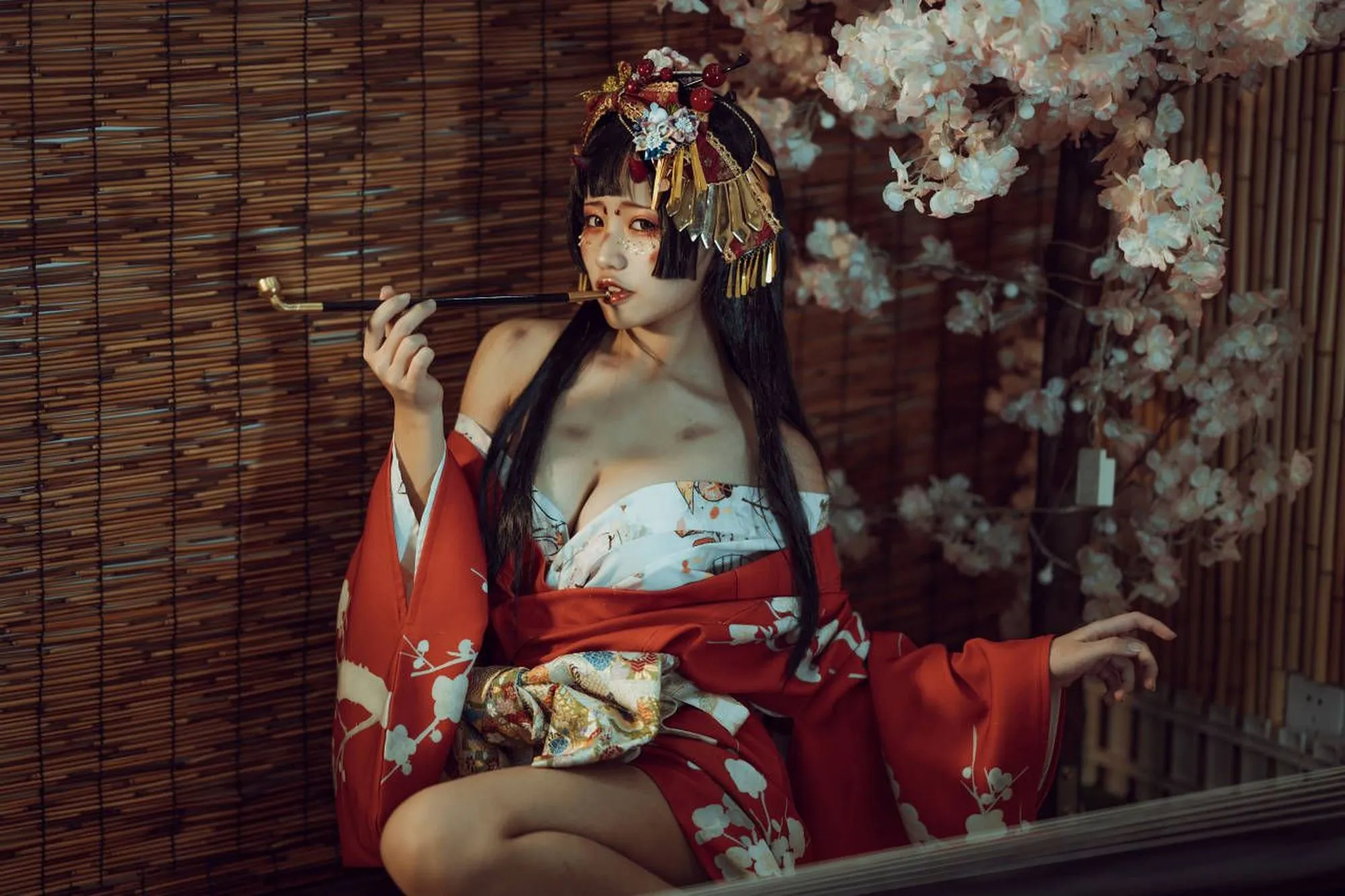 图片[3]-No.009-箱庭妖怪 [24P 1V]-coswz-cos王者