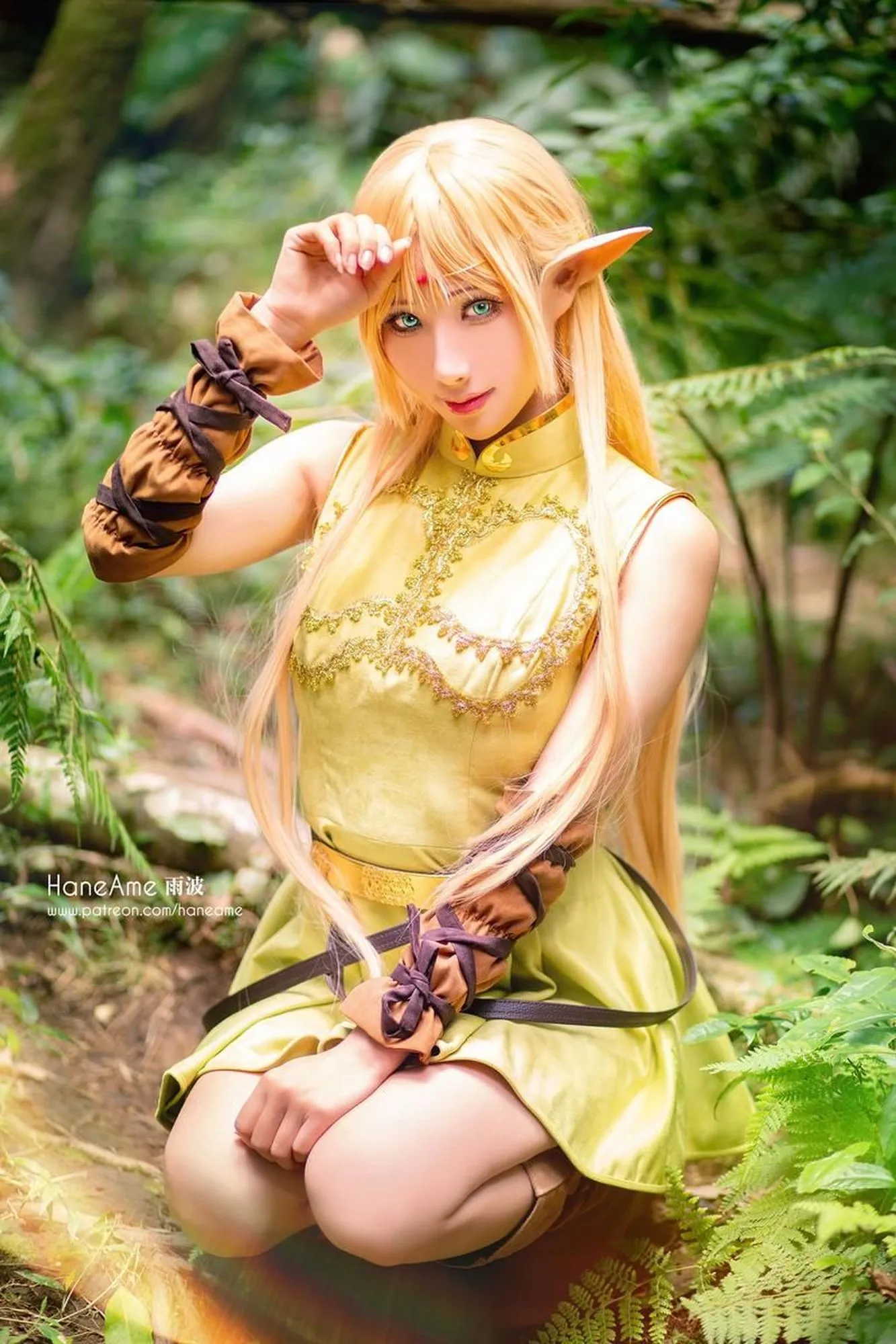 No.035-Record of lodoss Deedlit [6P]-图妖社