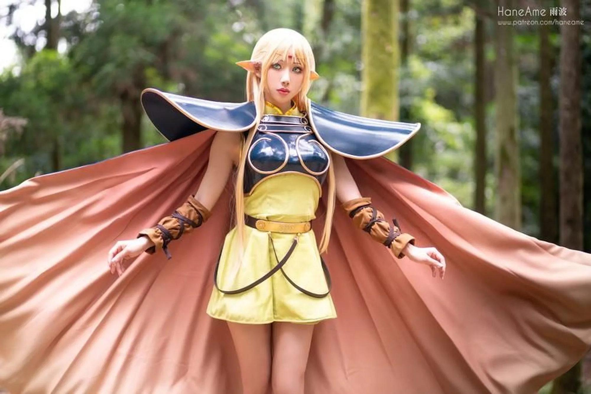 图片[5]-No.035-Record of lodoss Deedlit [6P]-coswz-cos王者